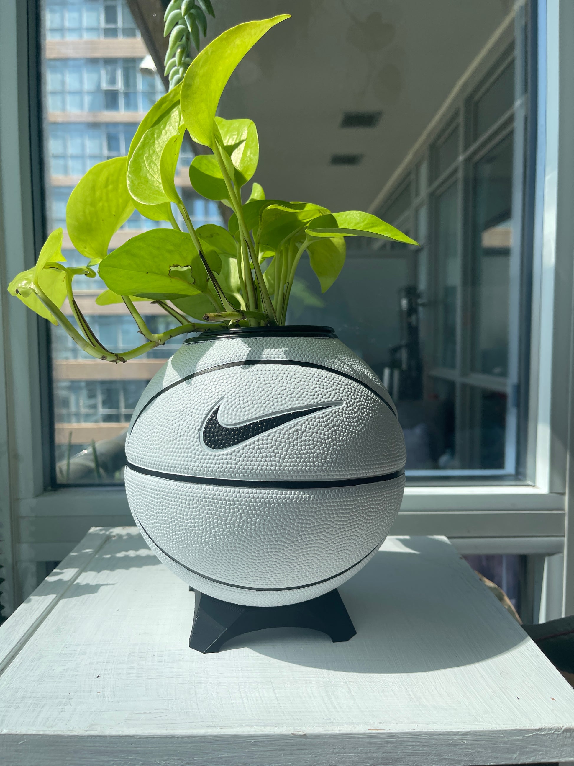 Nike Mini Basketball Planter (White & Black)