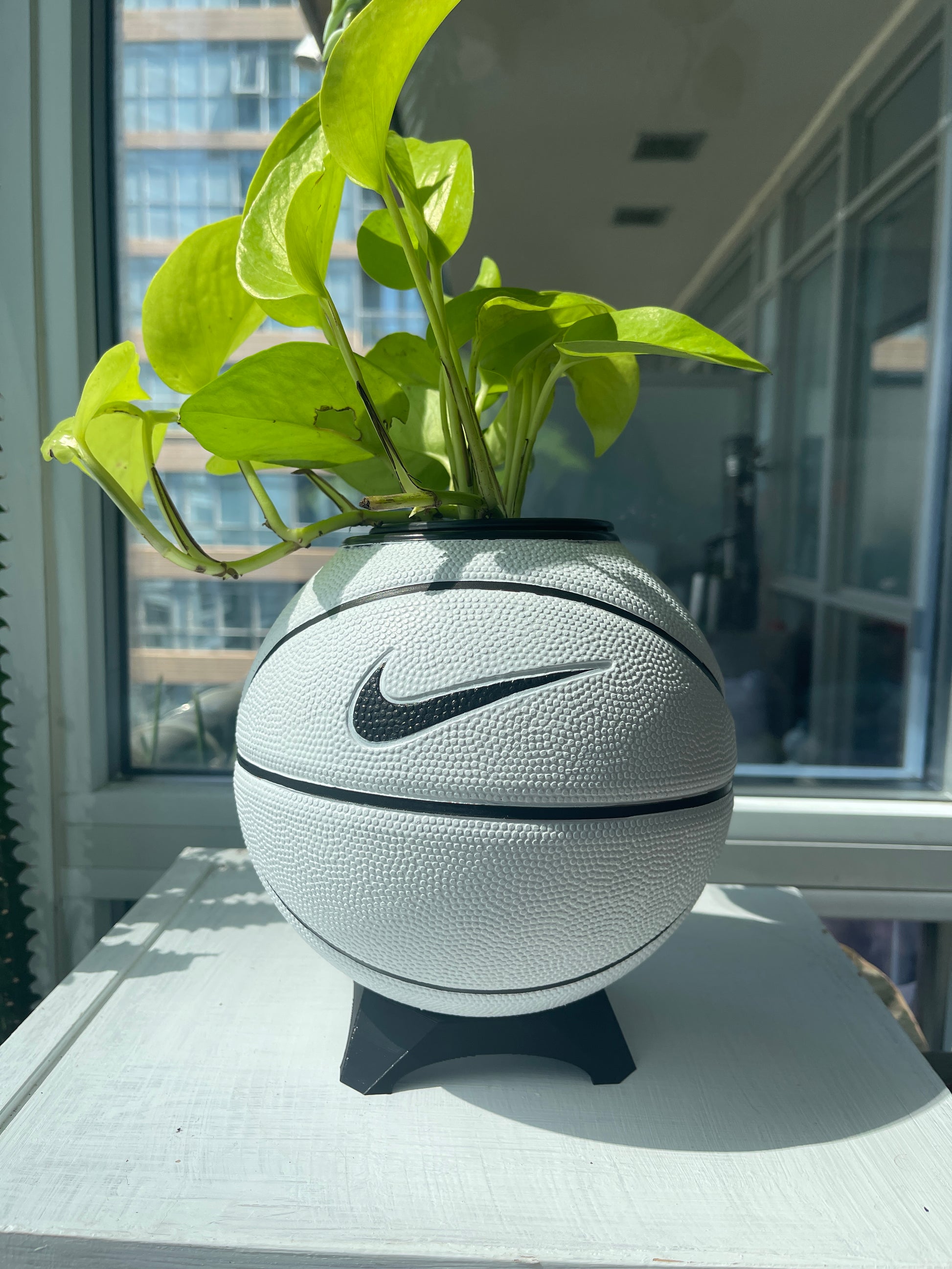 Nike Mini Basketball Planter (White & Black)