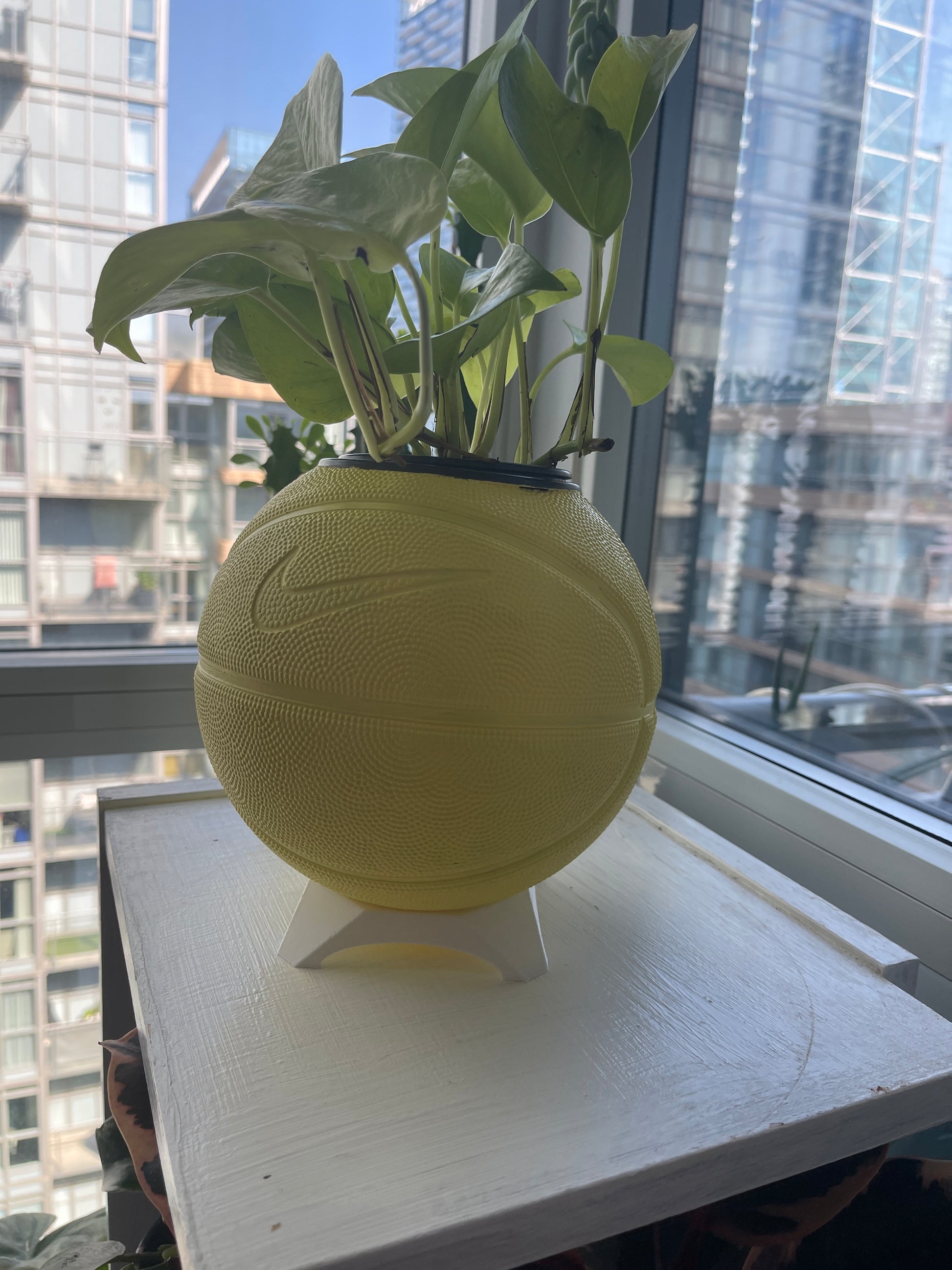 Nike Mini Basketball Planter (Sunny Yellow)