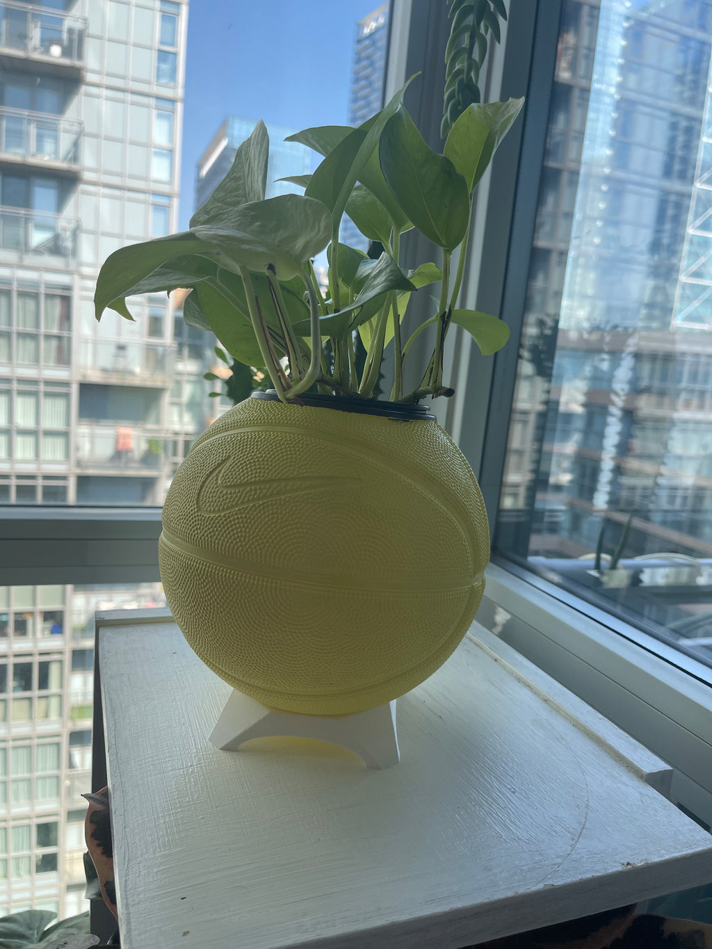 Nike Mini Basketball Planter (Sunny Yellow)