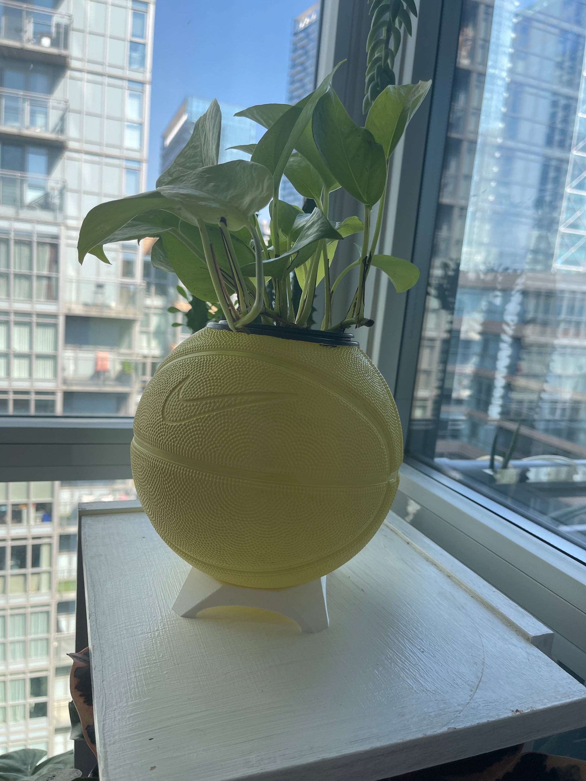 Nike Mini Basketball Planter (Sunny Yellow)