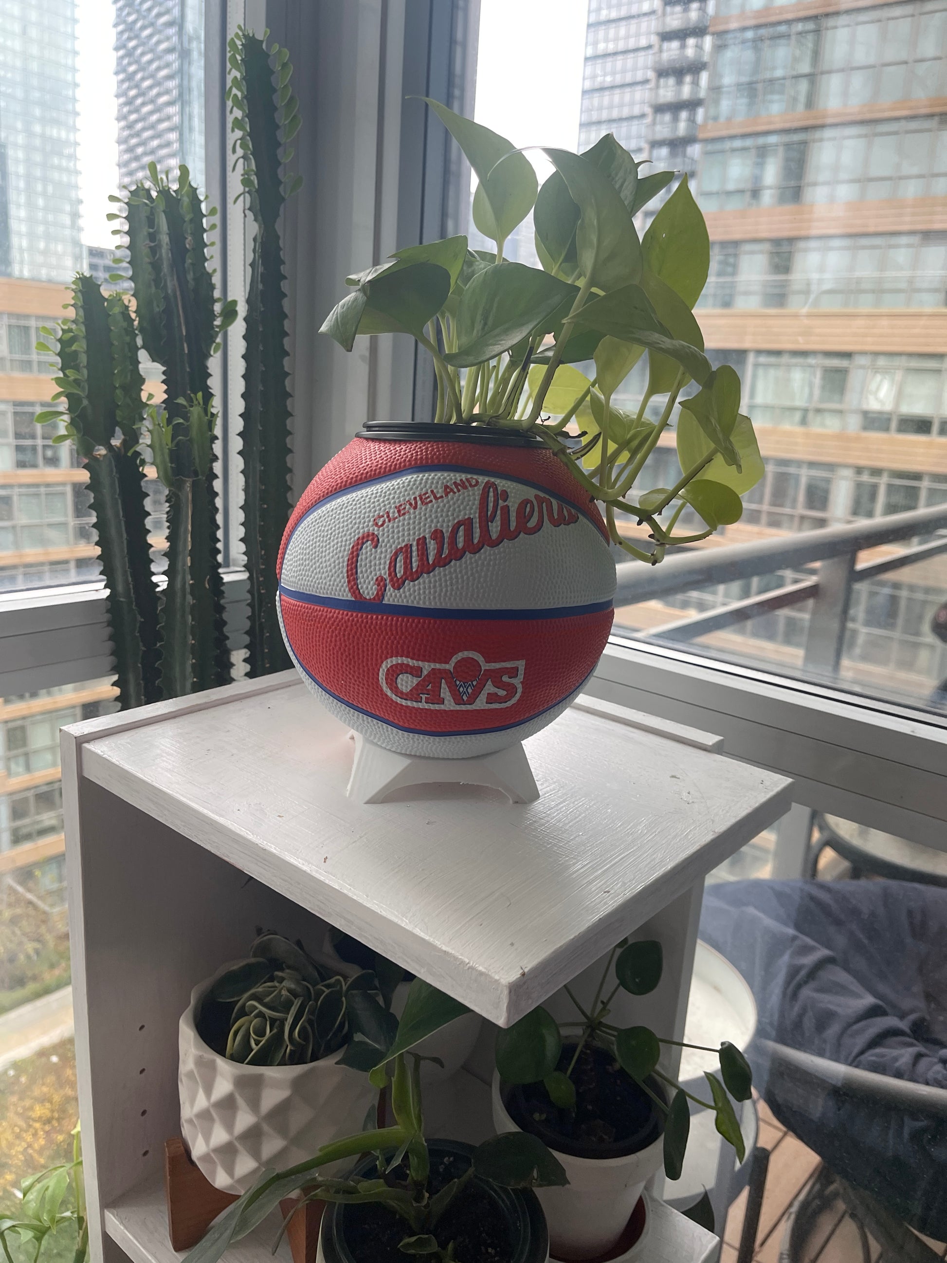 Mini Basketball Planter (Cleveland Cavaliers)