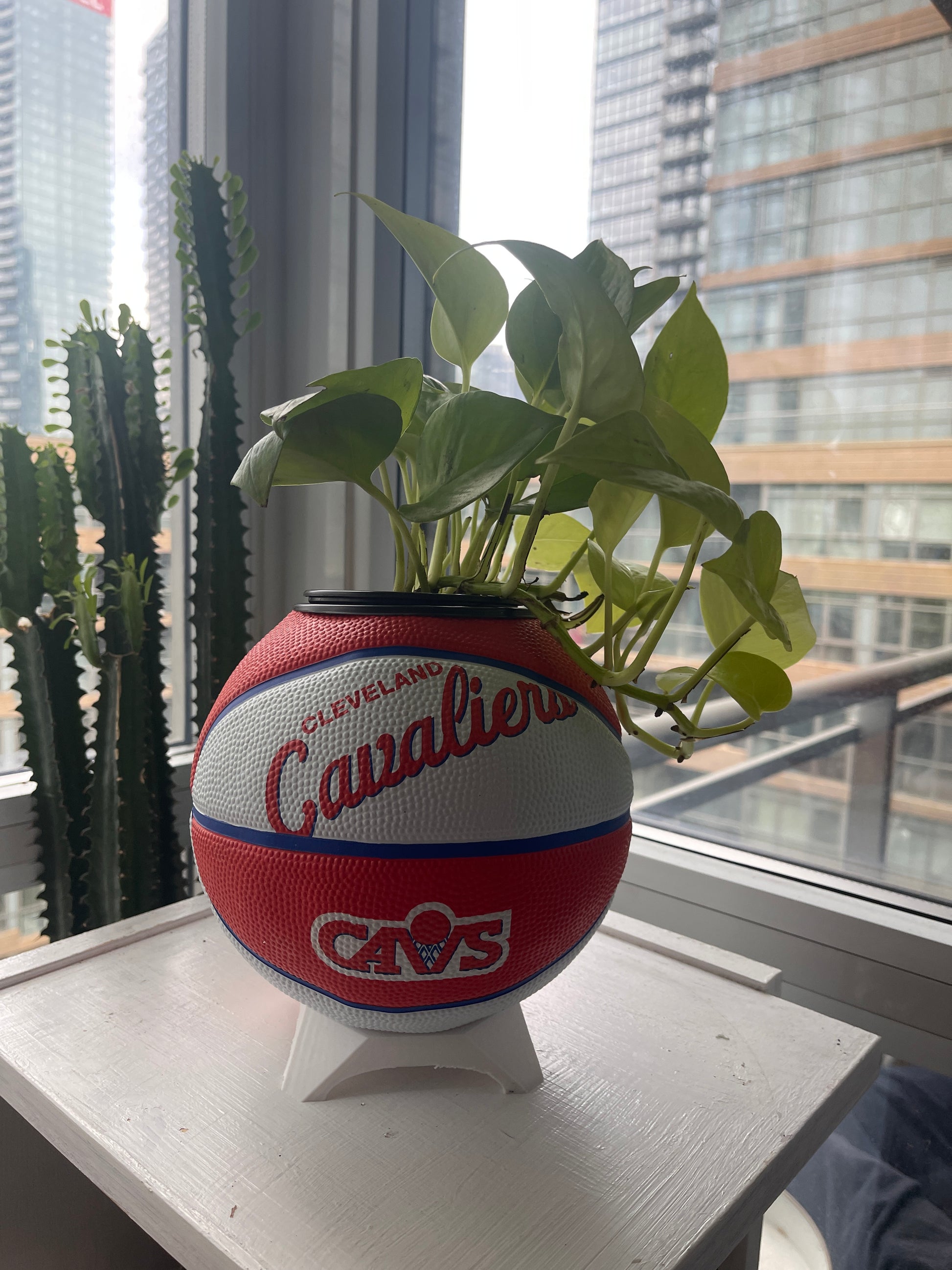 Mini Basketball Planter (Cleveland Cavaliers)
