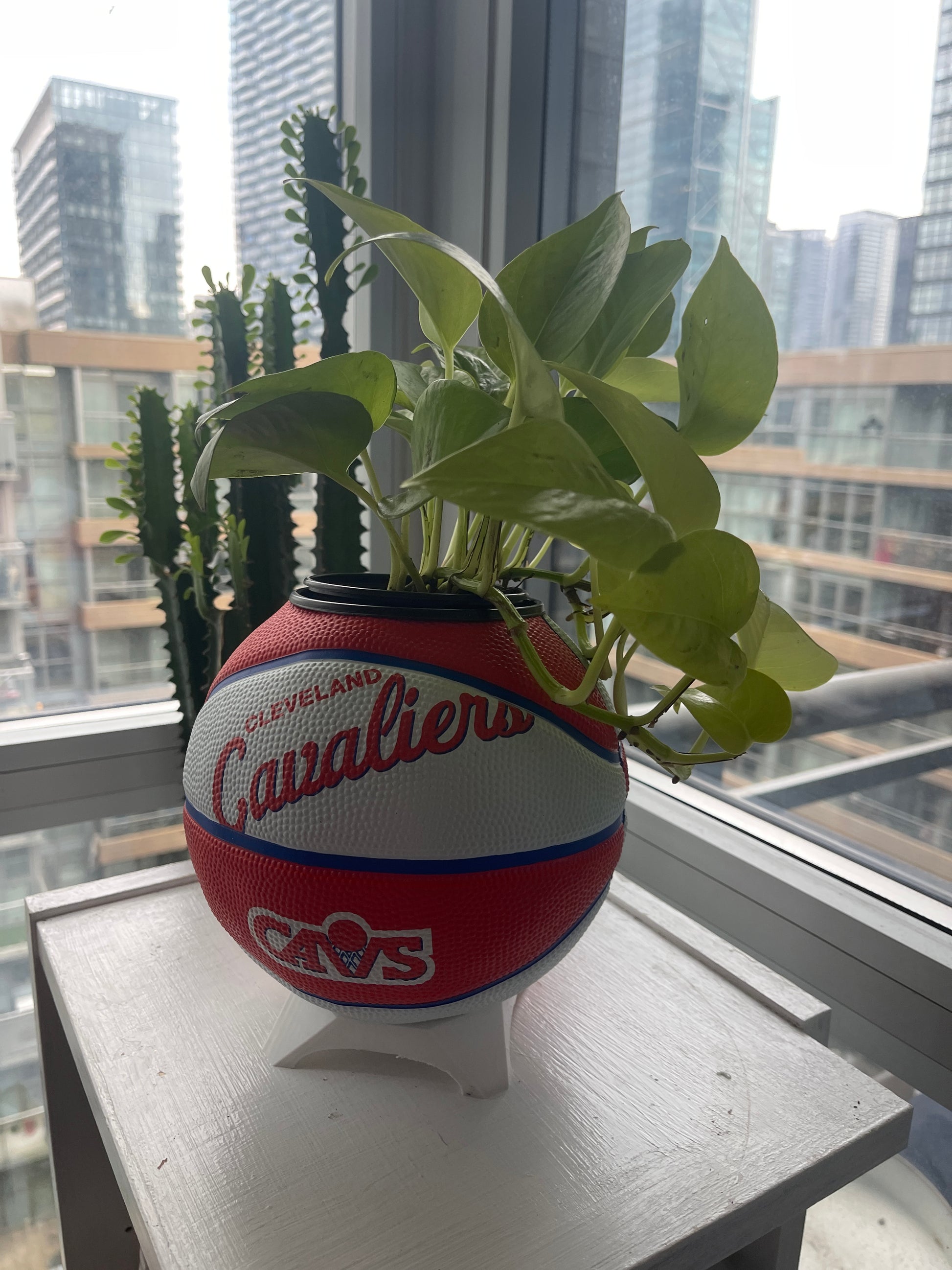 Mini Basketball Planter (Cleveland Cavaliers)