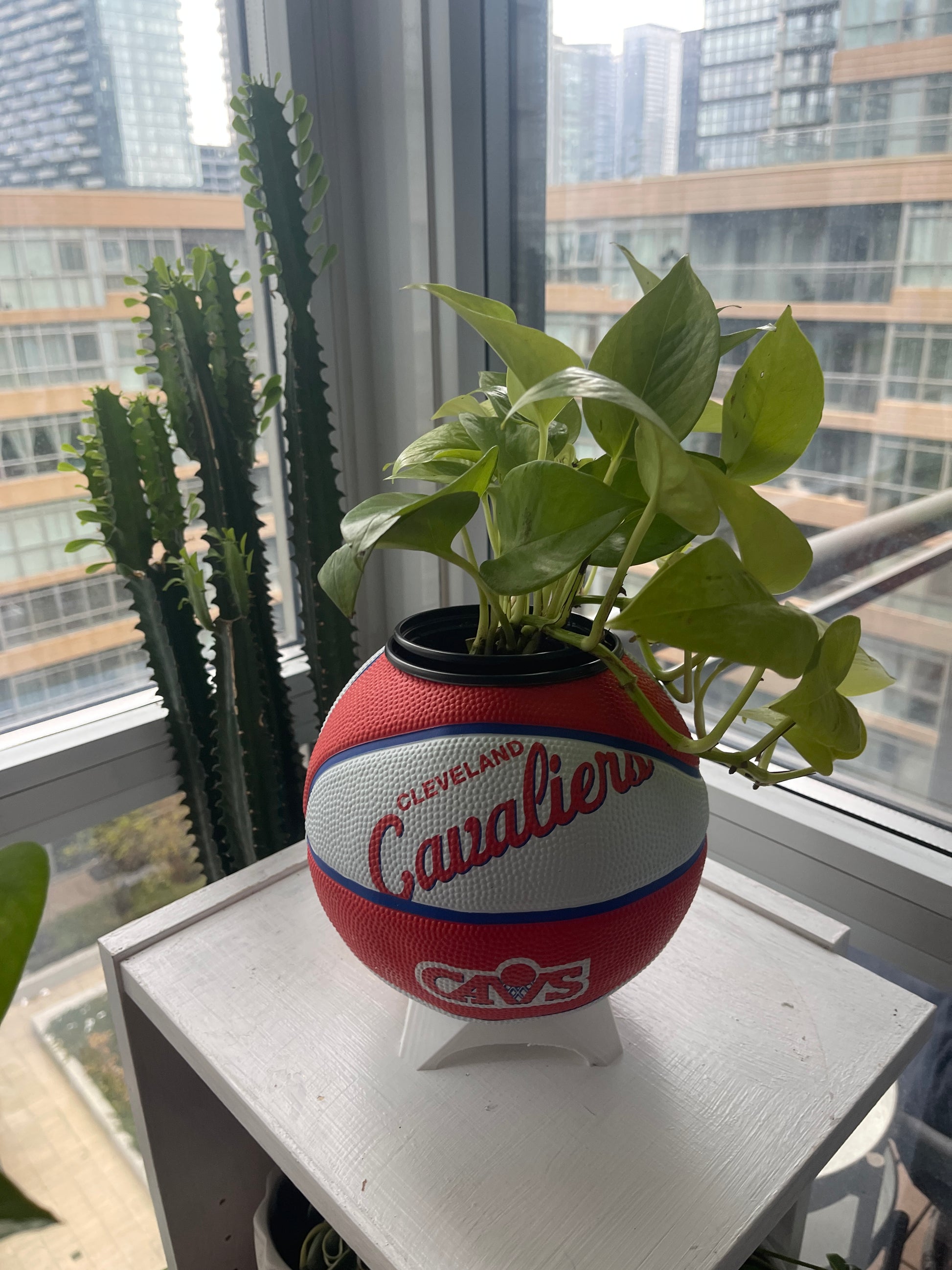 Mini Basketball Planter (Cleveland Cavaliers)