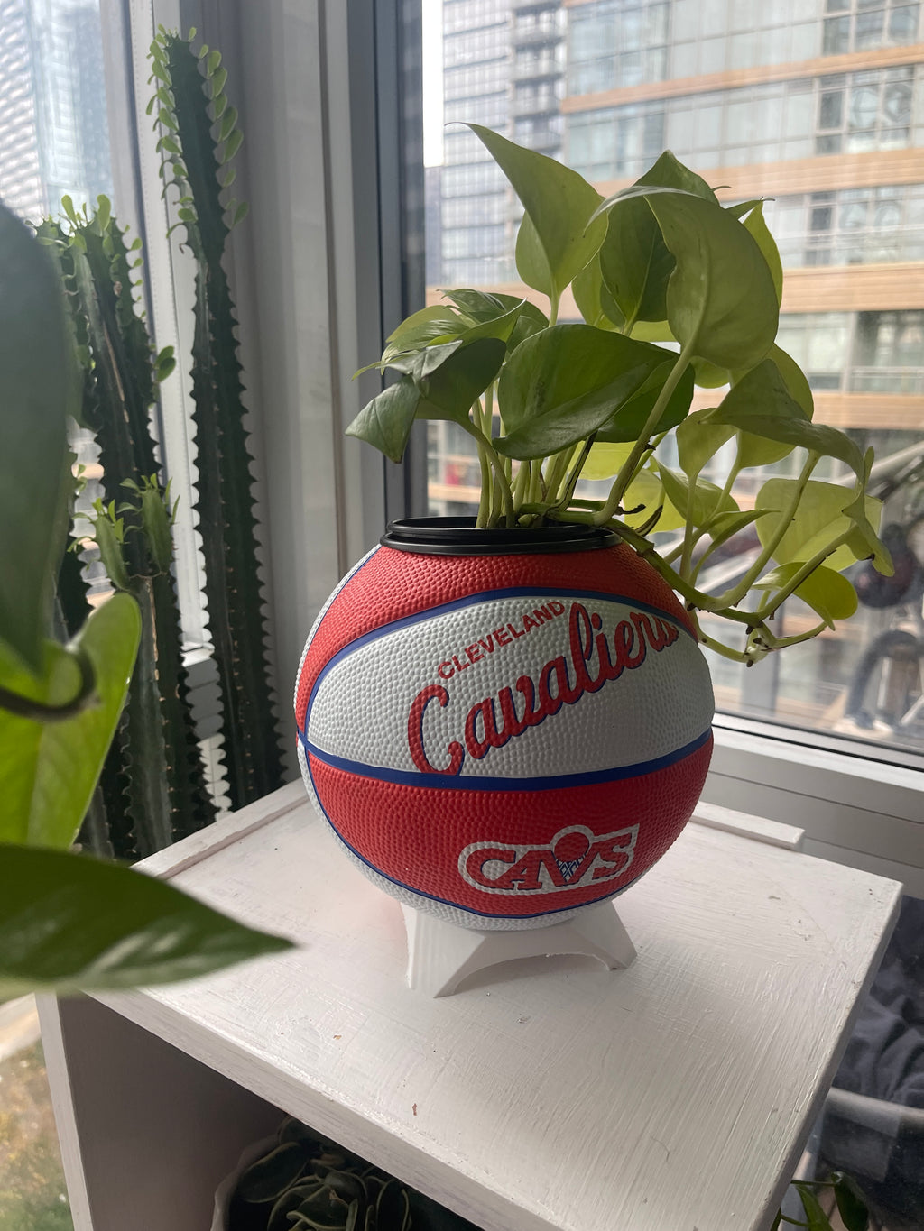 Mini Basketball Planter (Cleveland Cavaliers)