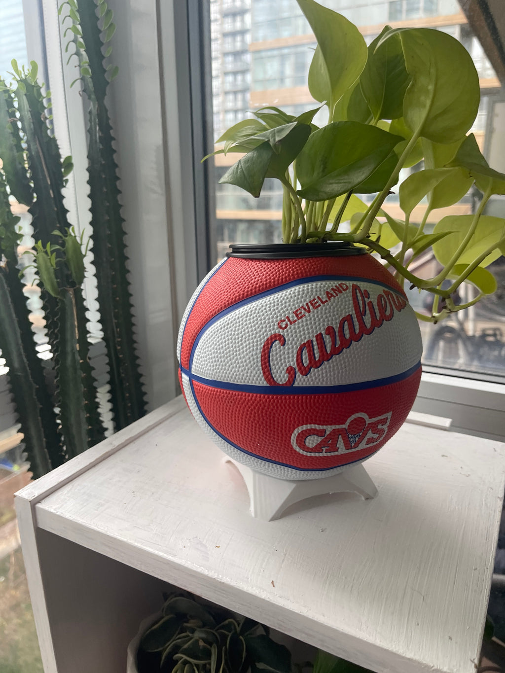 Mini Basketball Planter (Cleveland Cavaliers)