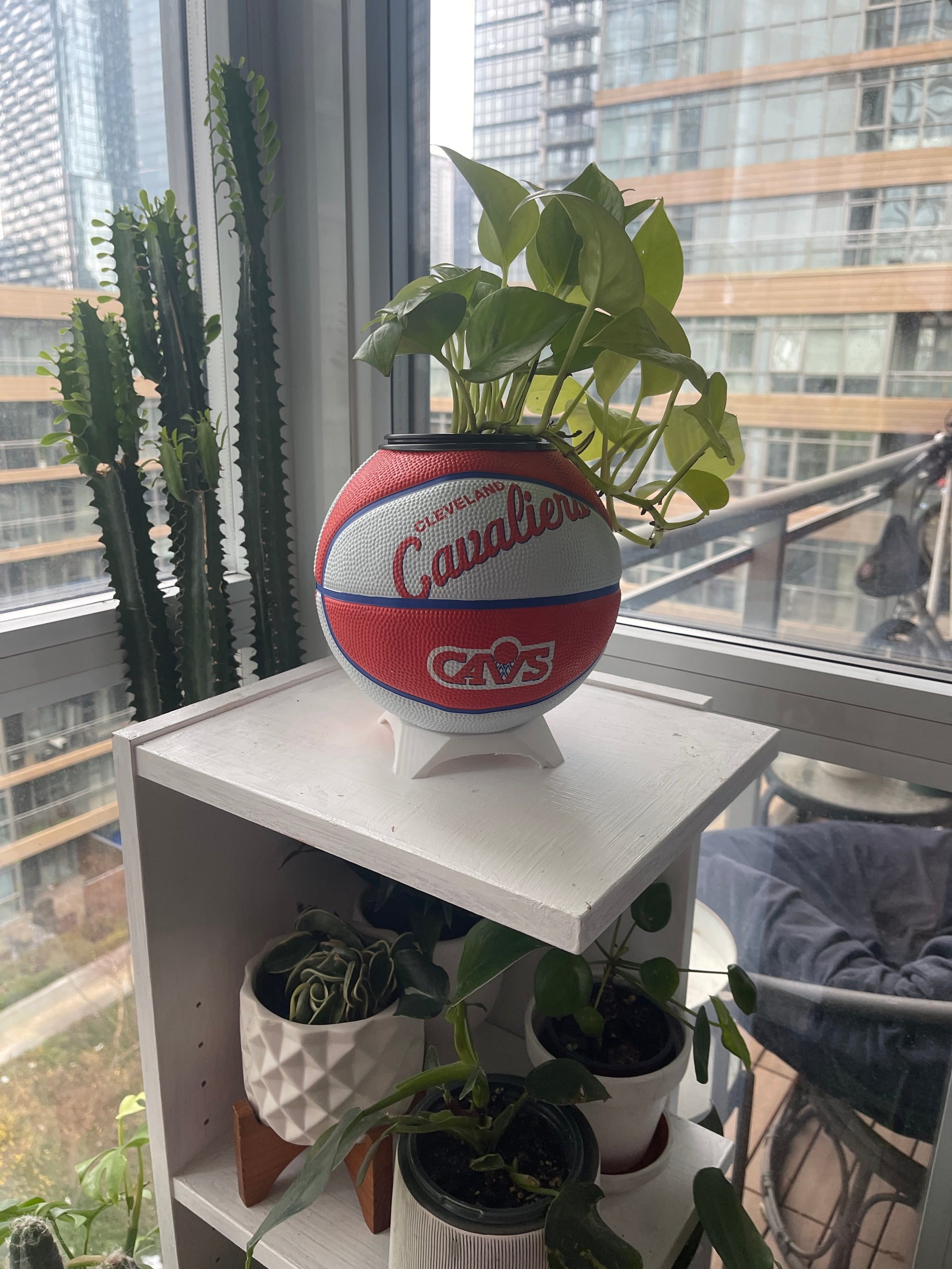 Mini Basketball Planter (Cleveland Cavaliers)