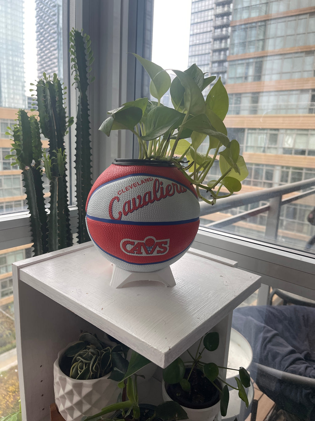 Mini Basketball Planter (Cleveland Cavaliers)