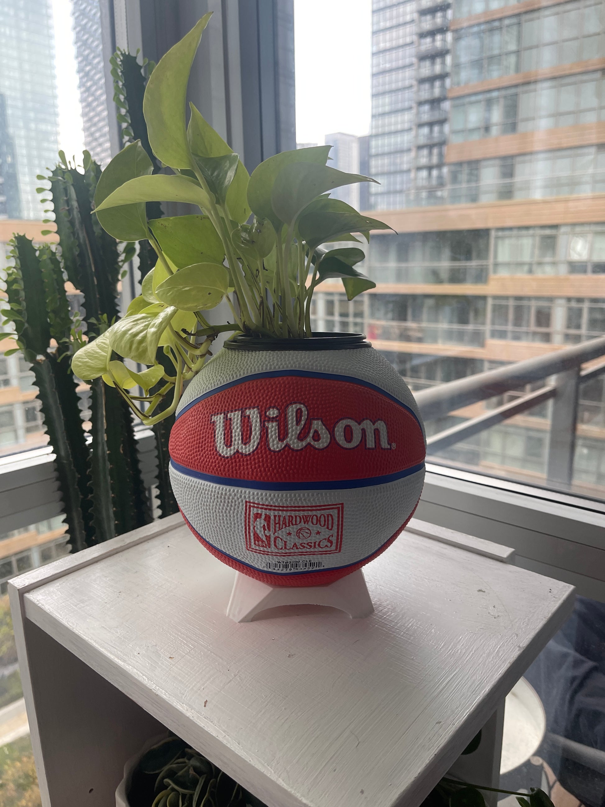 Mini Basketball Planter (Cleveland Cavaliers)