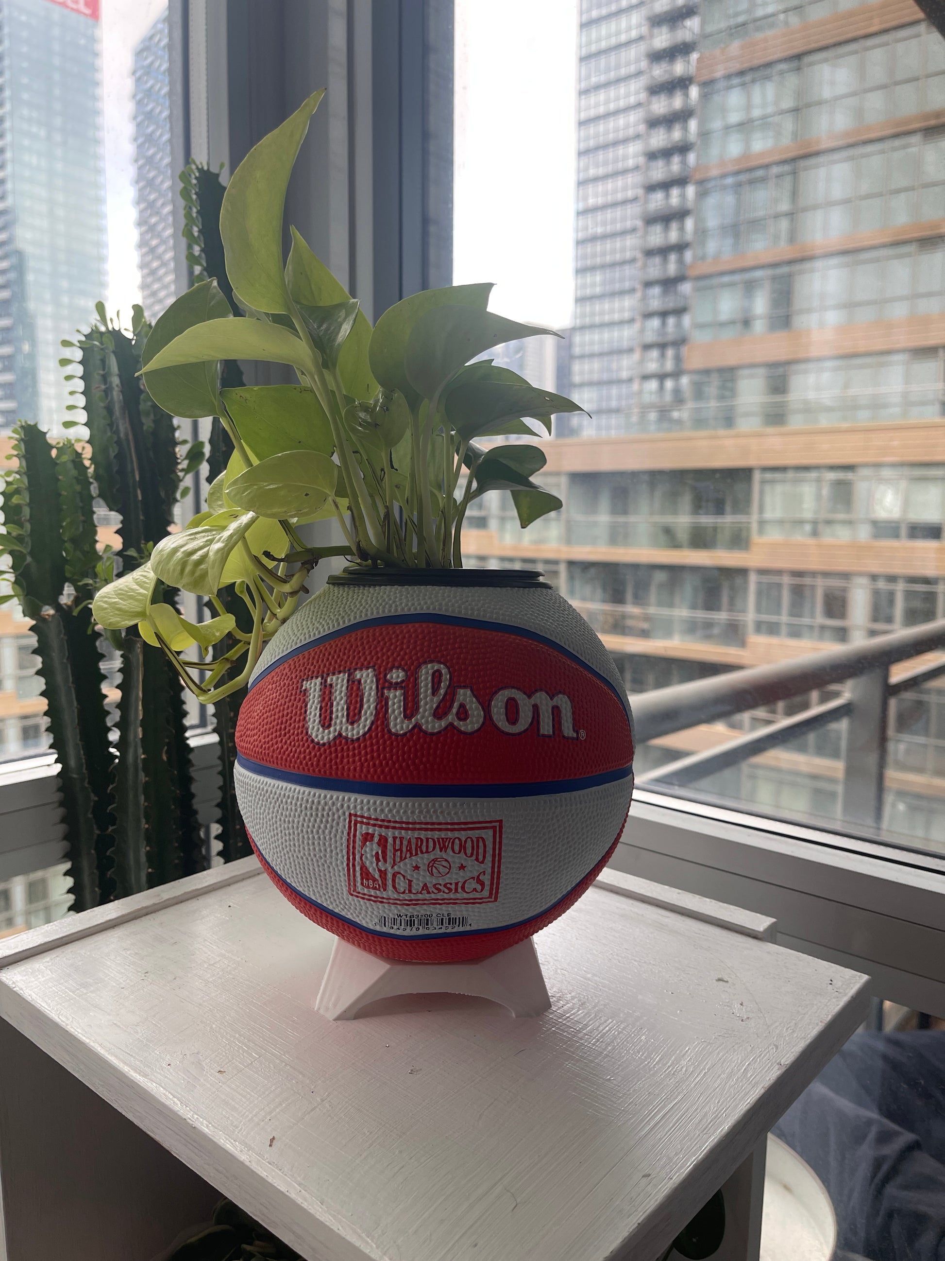 Mini Basketball Planter (Cleveland Cavaliers)