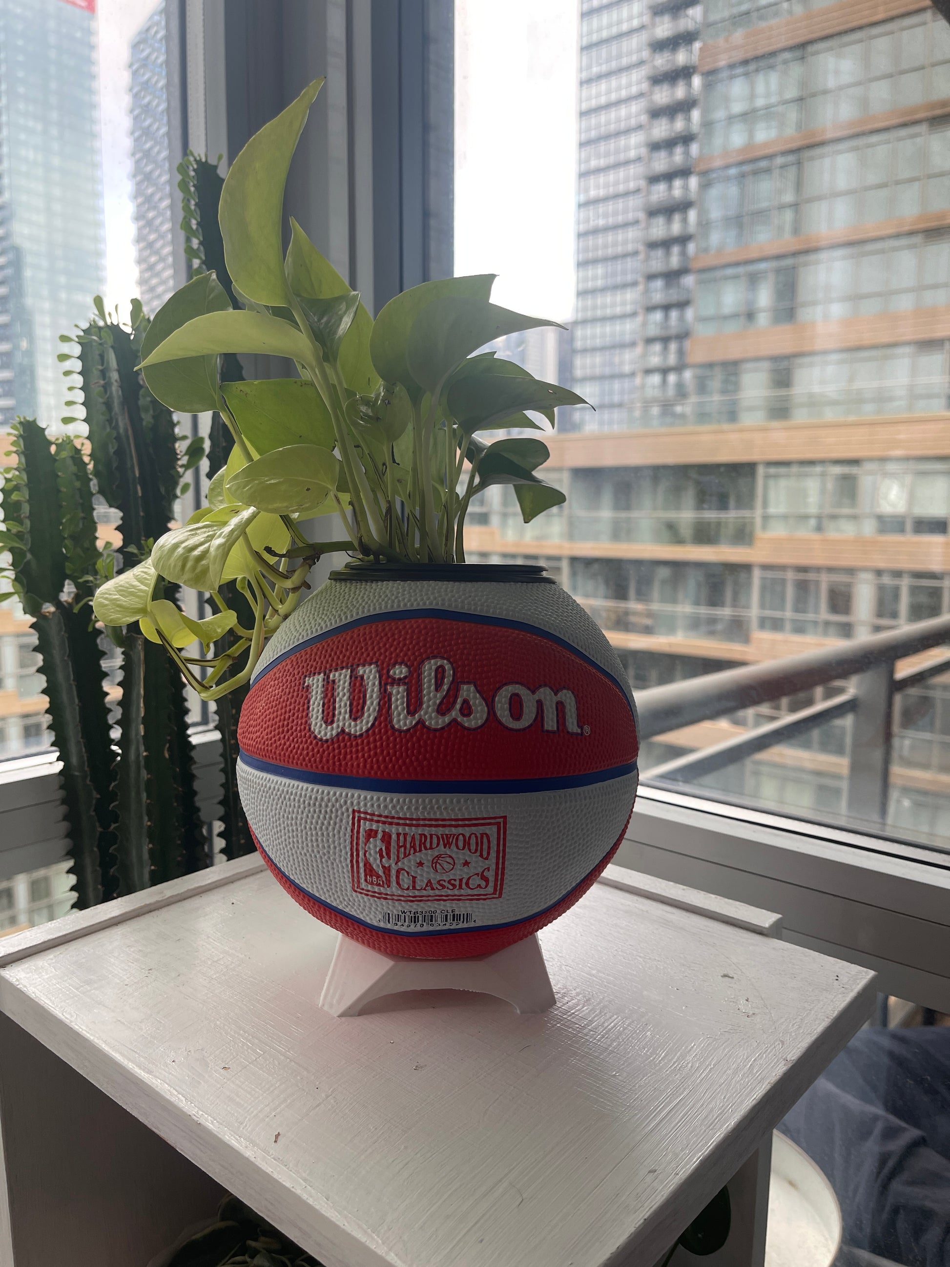 Mini Basketball Planter (Cleveland Cavaliers)