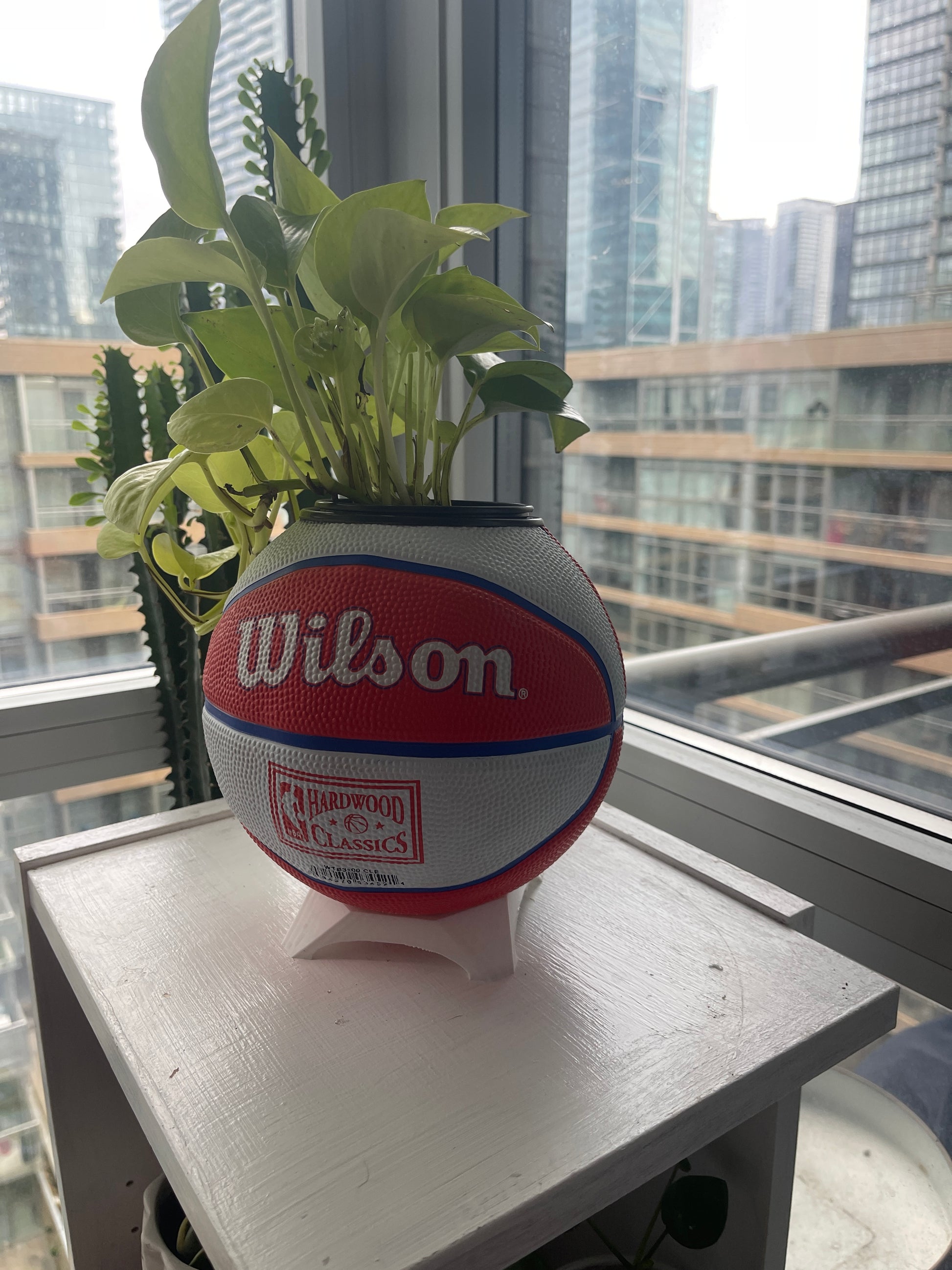 Mini Basketball Planter (Cleveland Cavaliers)