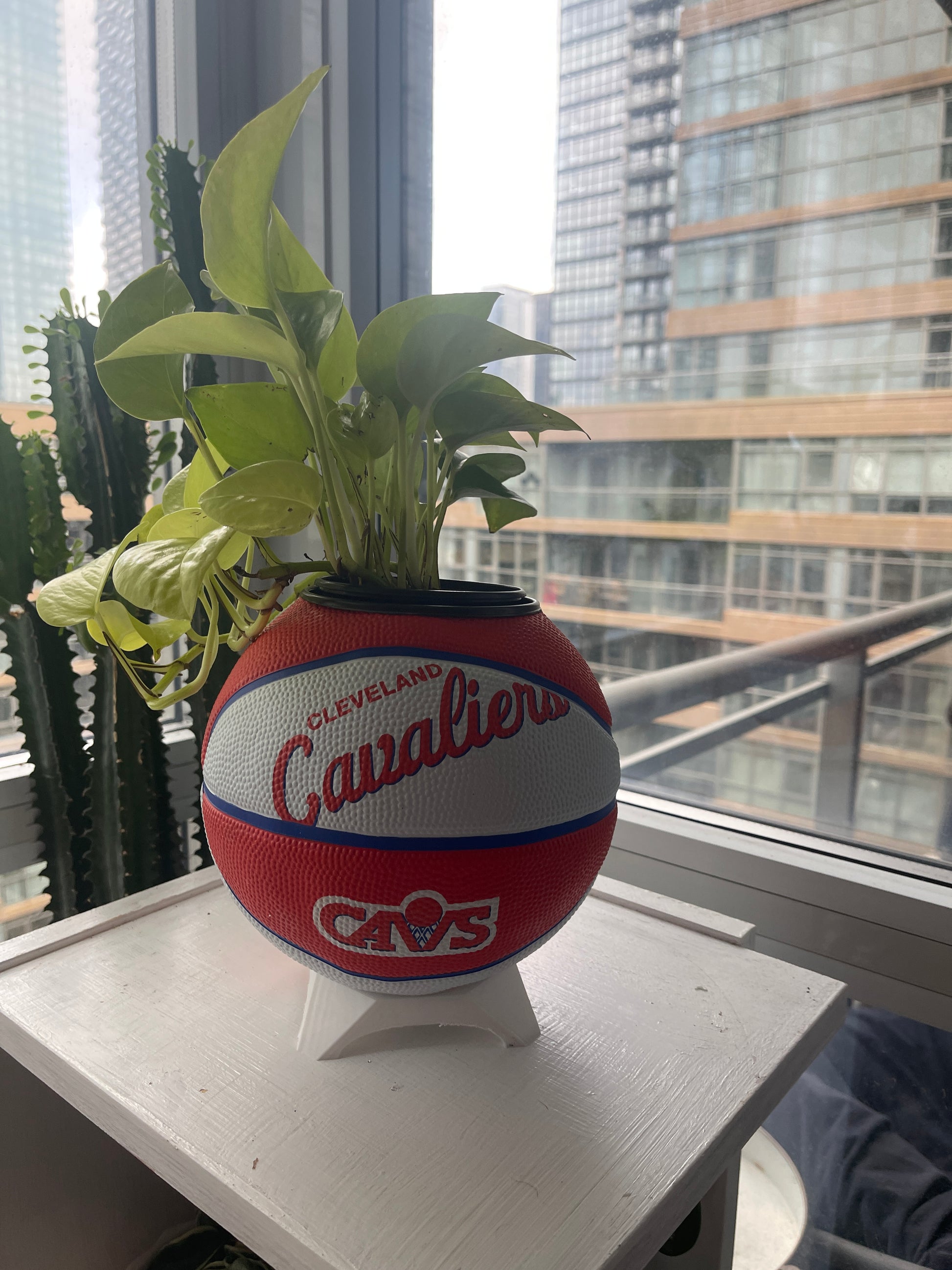 Mini Basketball Planter (Cleveland Cavaliers)