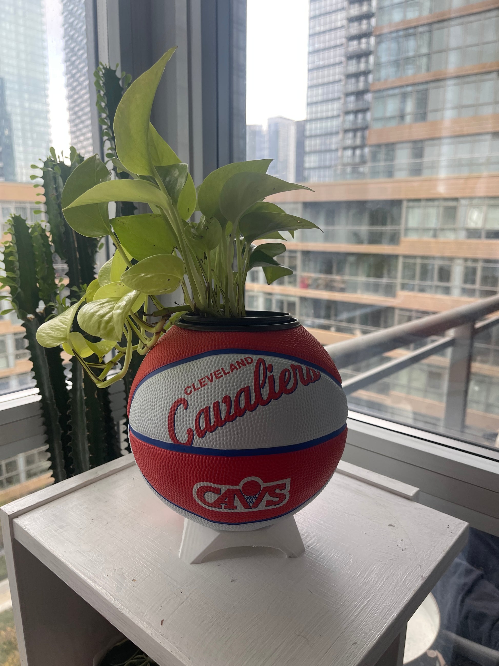 Mini Basketball Planter (Cleveland Cavaliers)