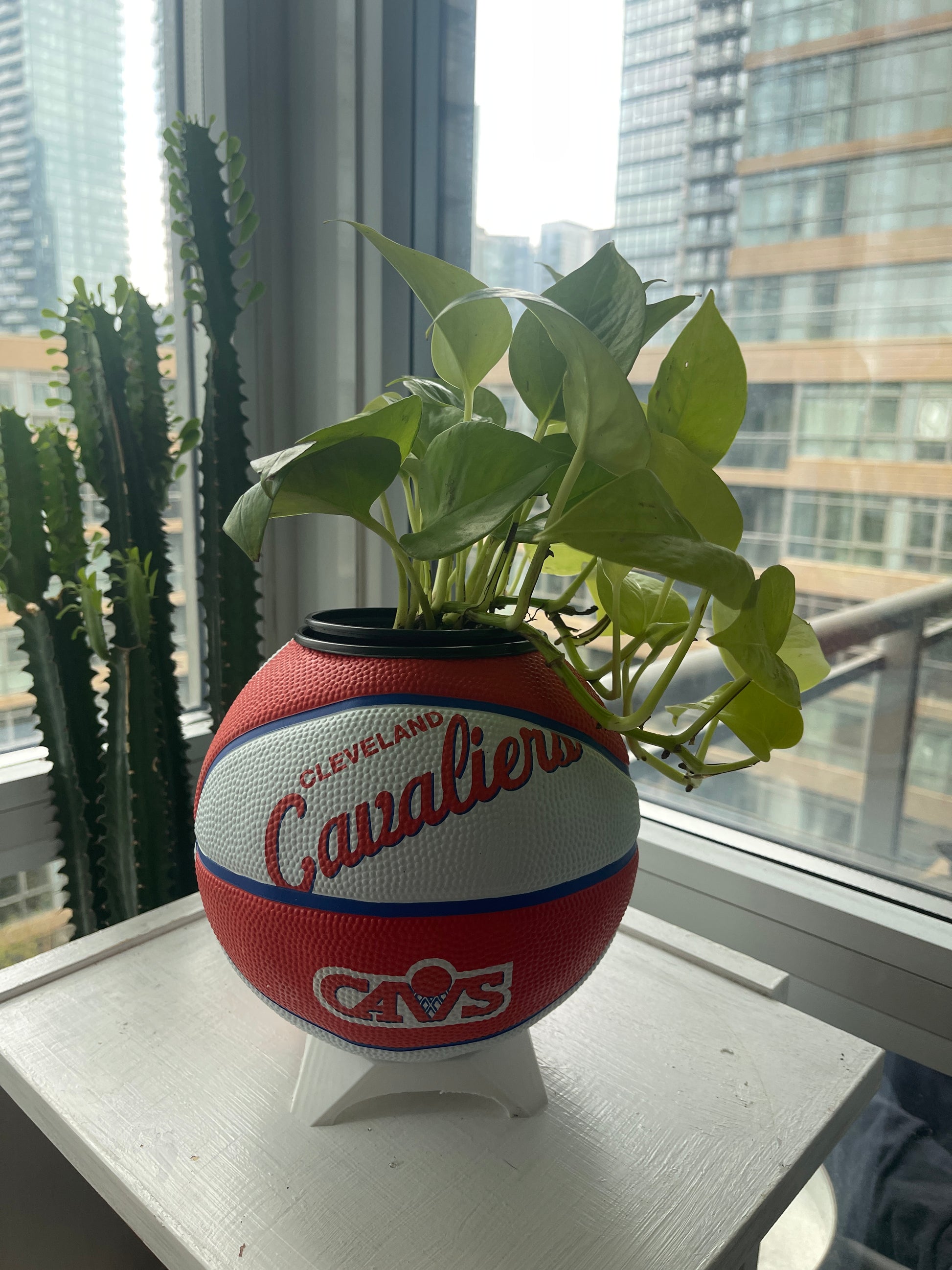 Mini Basketball Planter (Cleveland Cavaliers)