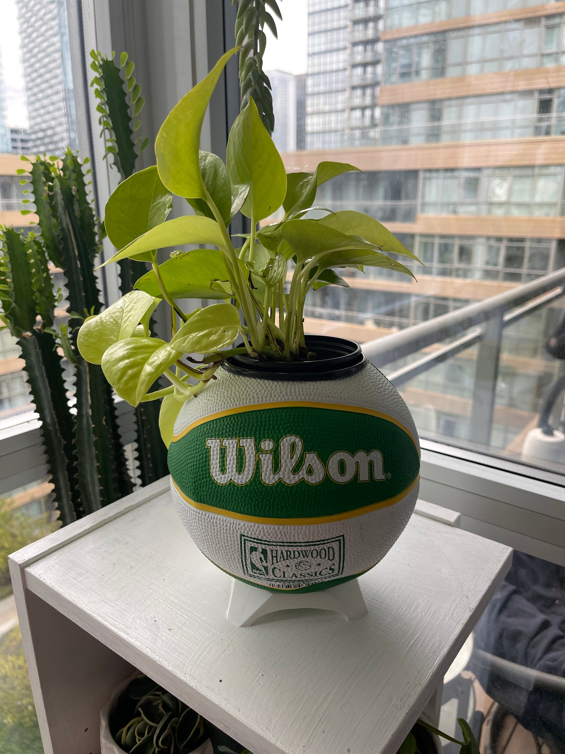 Mini Basketball Planter (Boston Celtics)