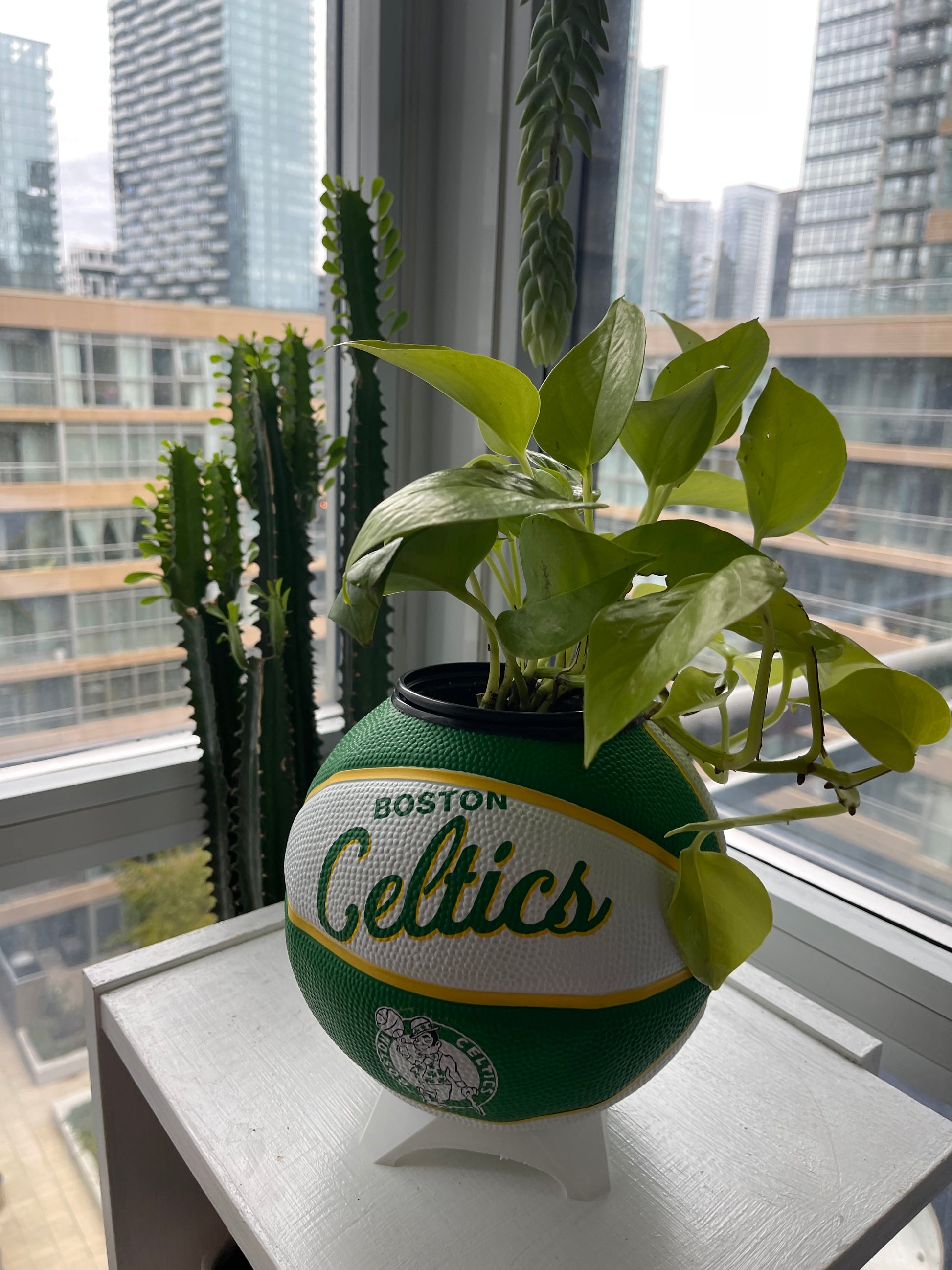 Mini Basketball Planter (Boston Celtics)