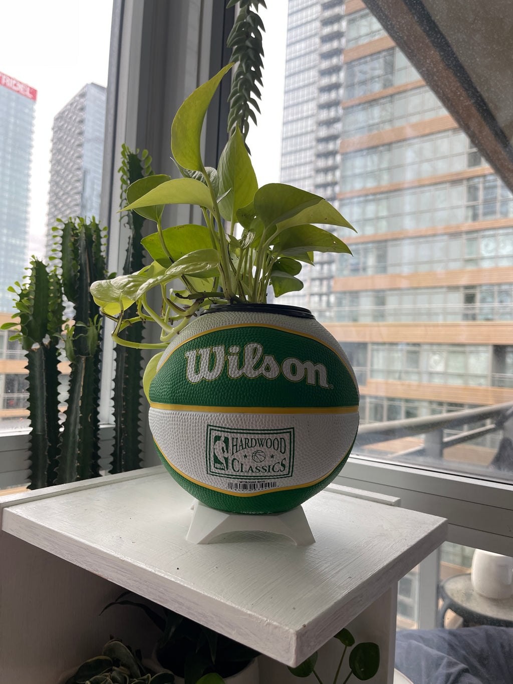 Mini Basketball Planter (Boston Celtics)