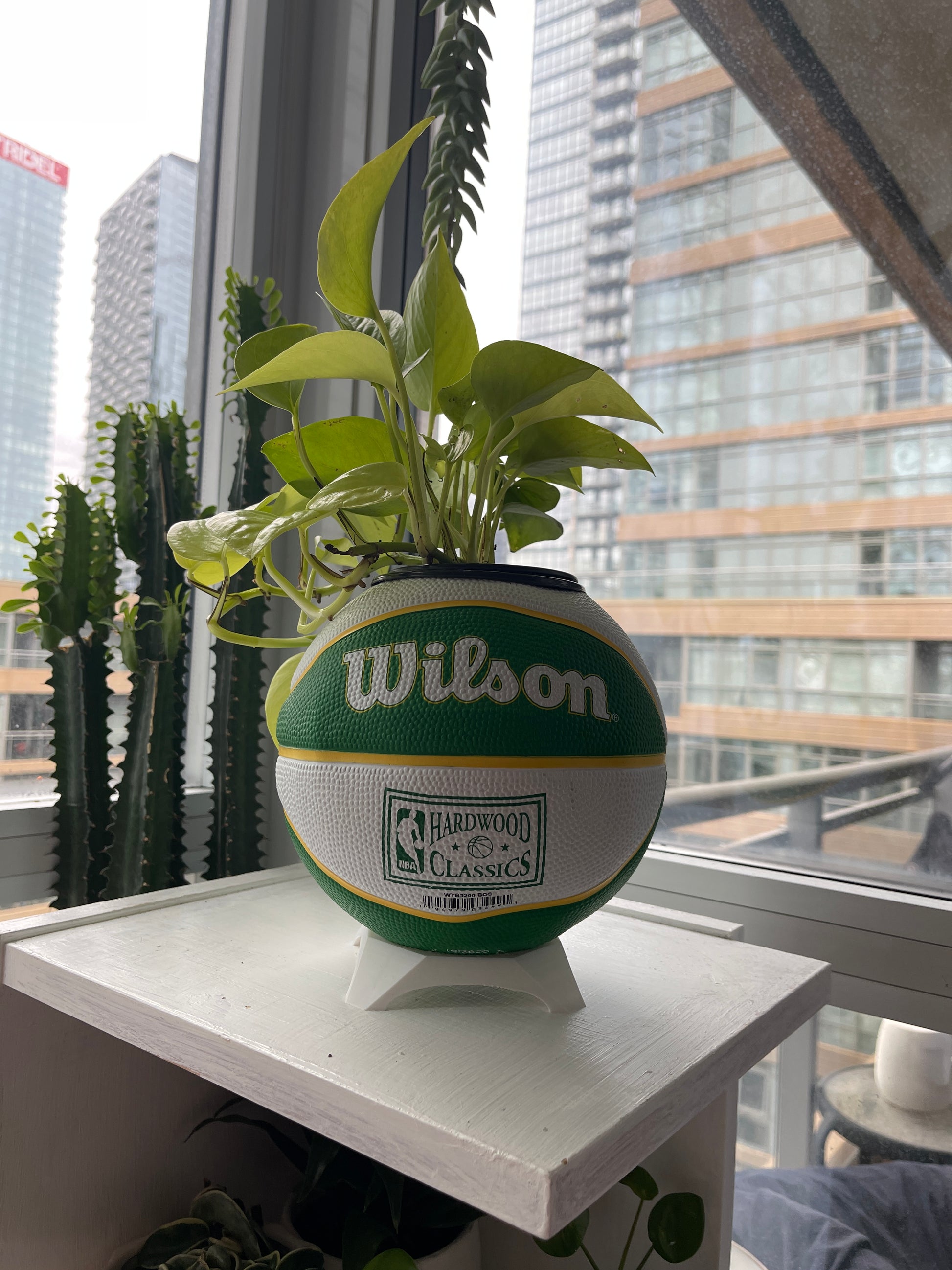 Mini Basketball Planter (Boston Celtics)