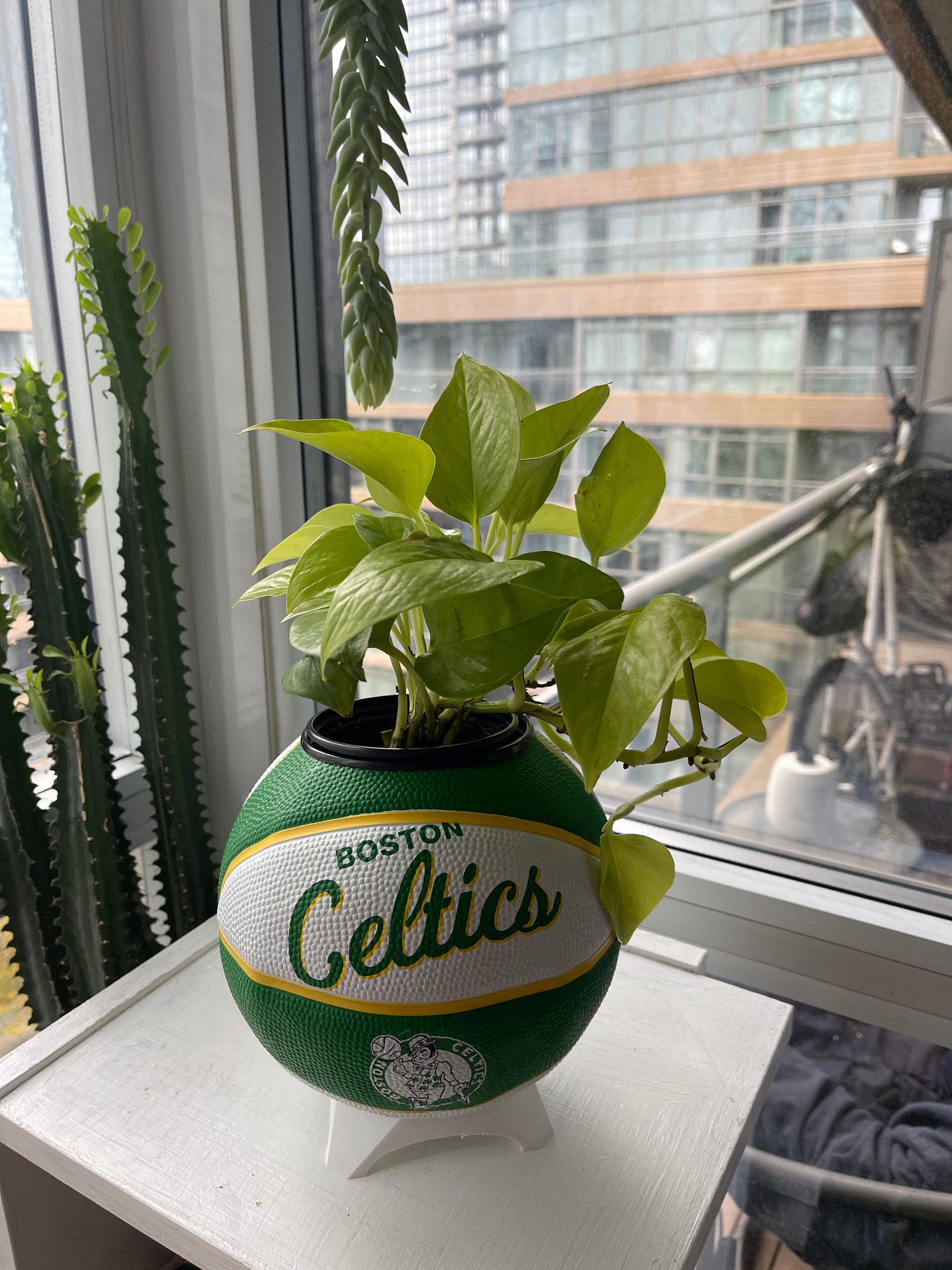 Mini Basketball Planter (Boston Celtics)