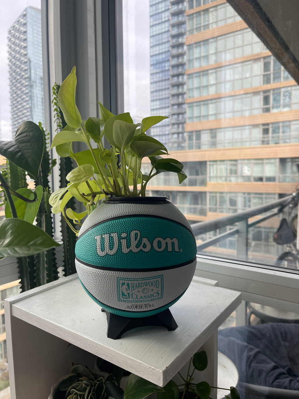 Mini Basketball Planter (Vancouver Grizzlies)