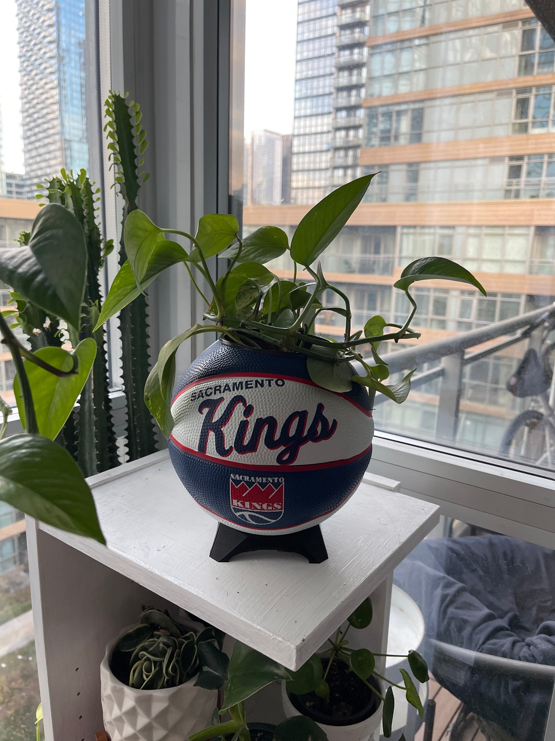 Mini Basketball Planter (Sacramento Kings)