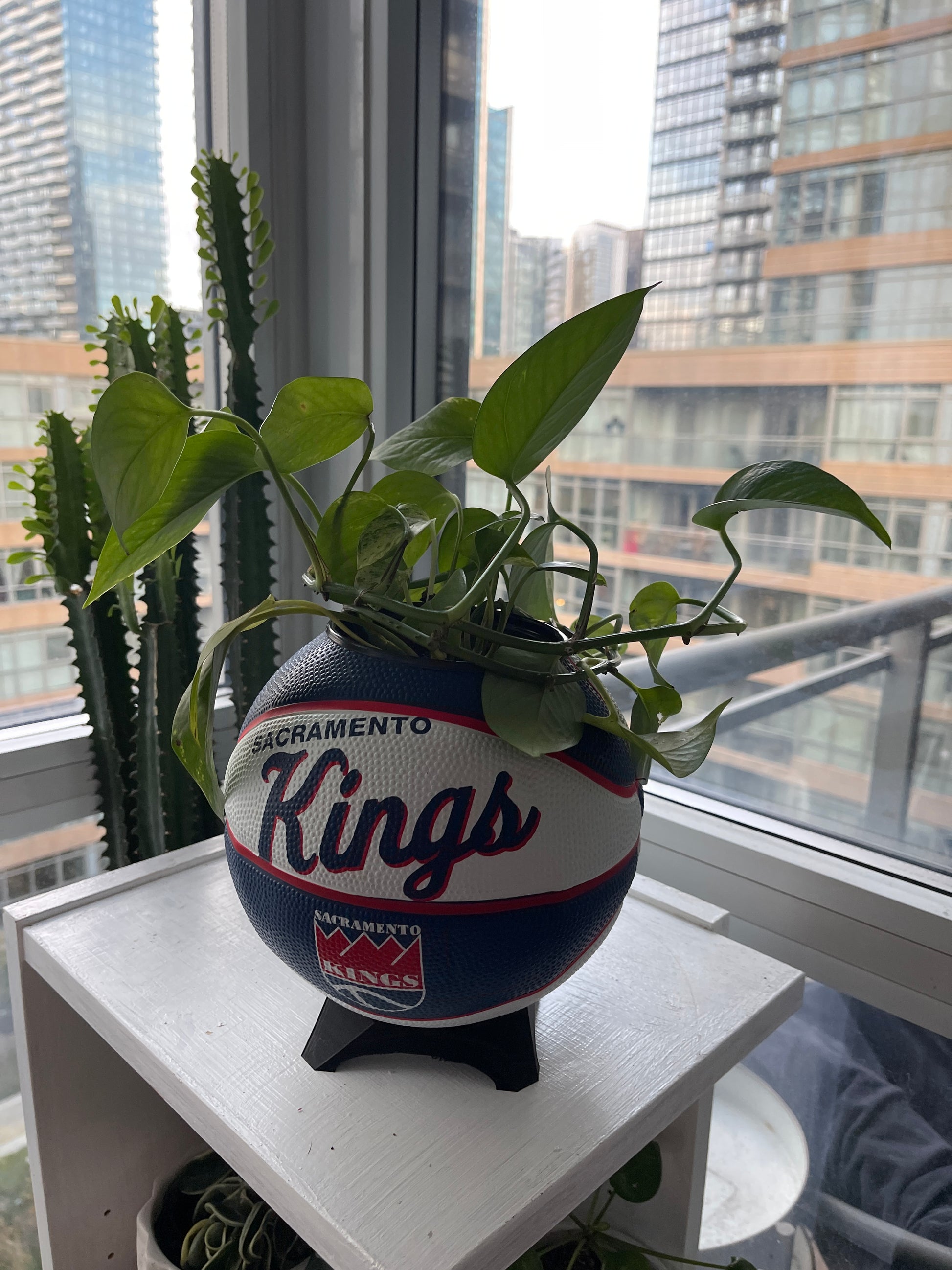 Mini Basketball Planter (Sacramento Kings)