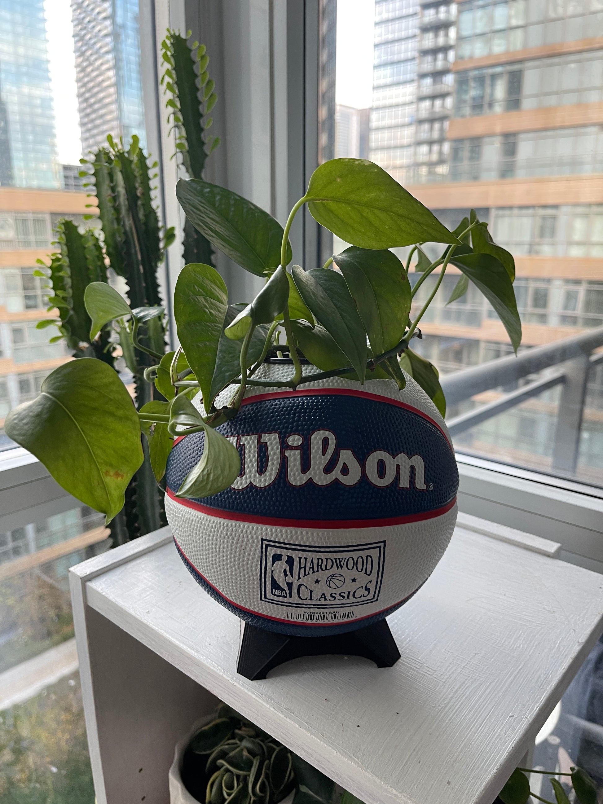 Mini Basketball Planter (Sacramento Kings)