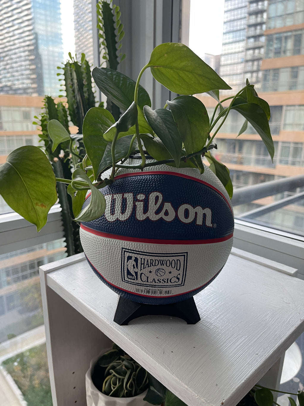 Mini Basketball Planter (Sacramento Kings)