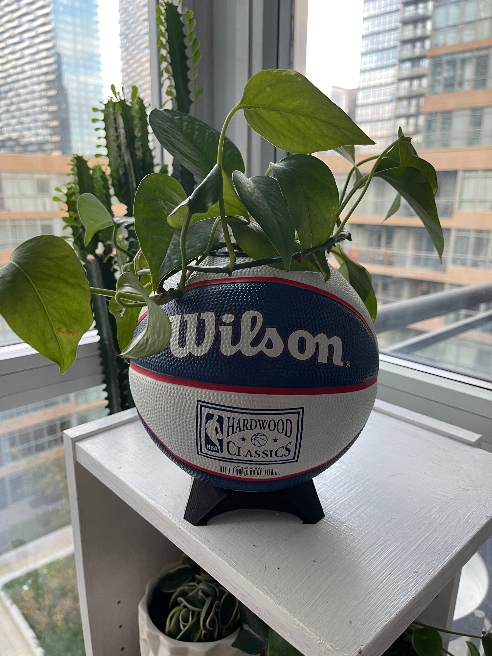 Mini Basketball Planter (Sacramento Kings)