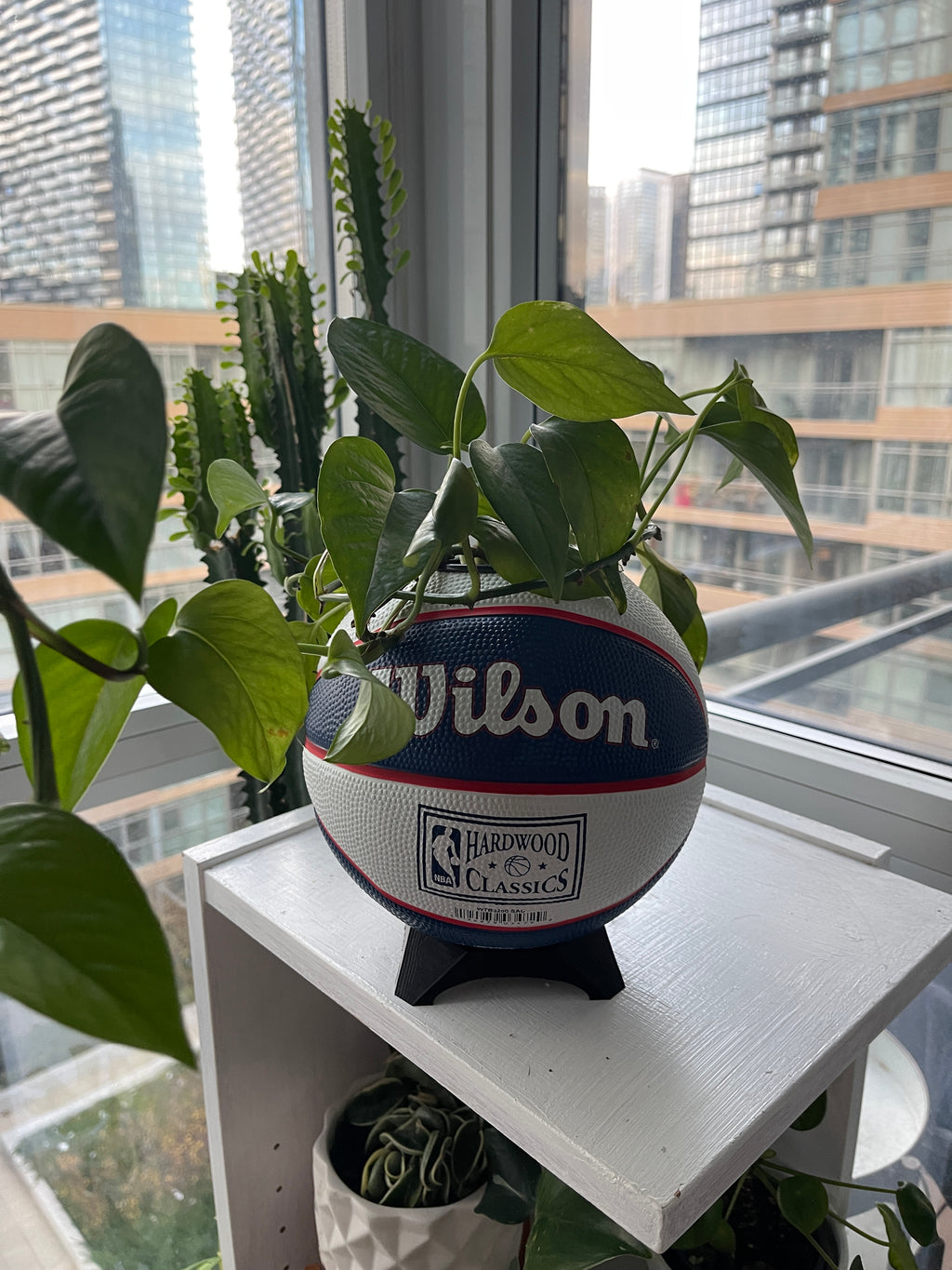 Mini Basketball Planter (Sacramento Kings)