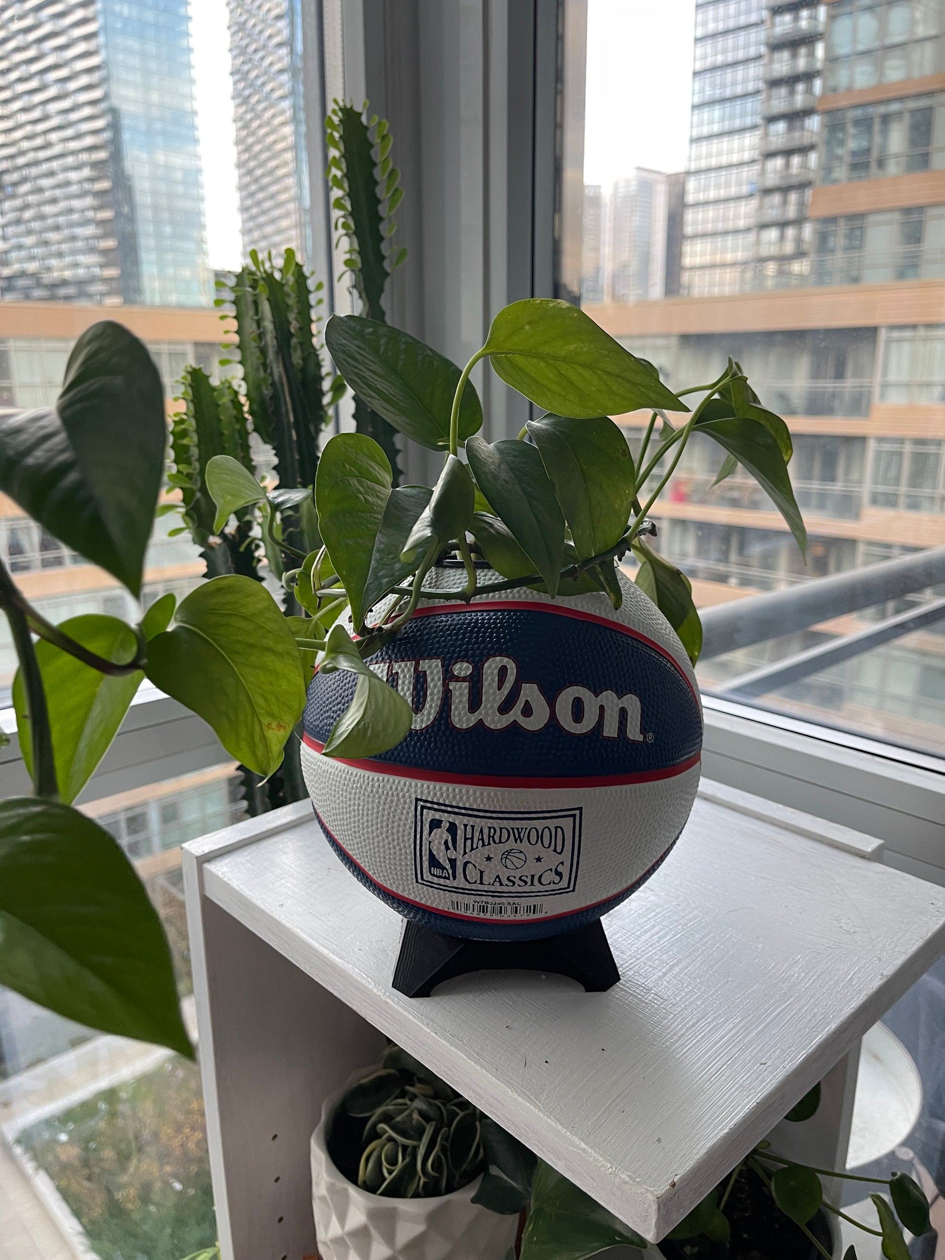 Mini Basketball Planter (Sacramento Kings)