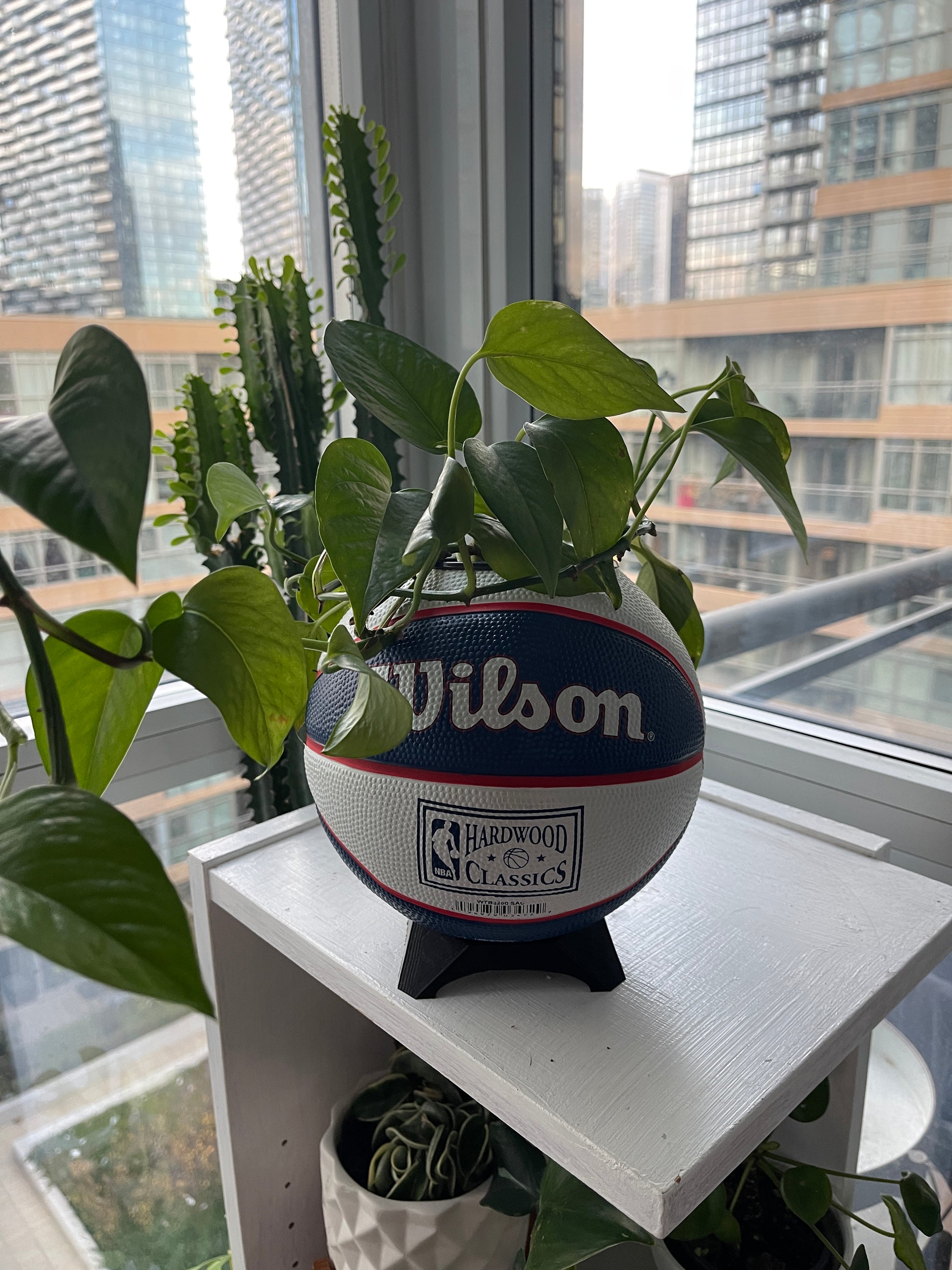 Mini Basketball Planter (Sacramento Kings)