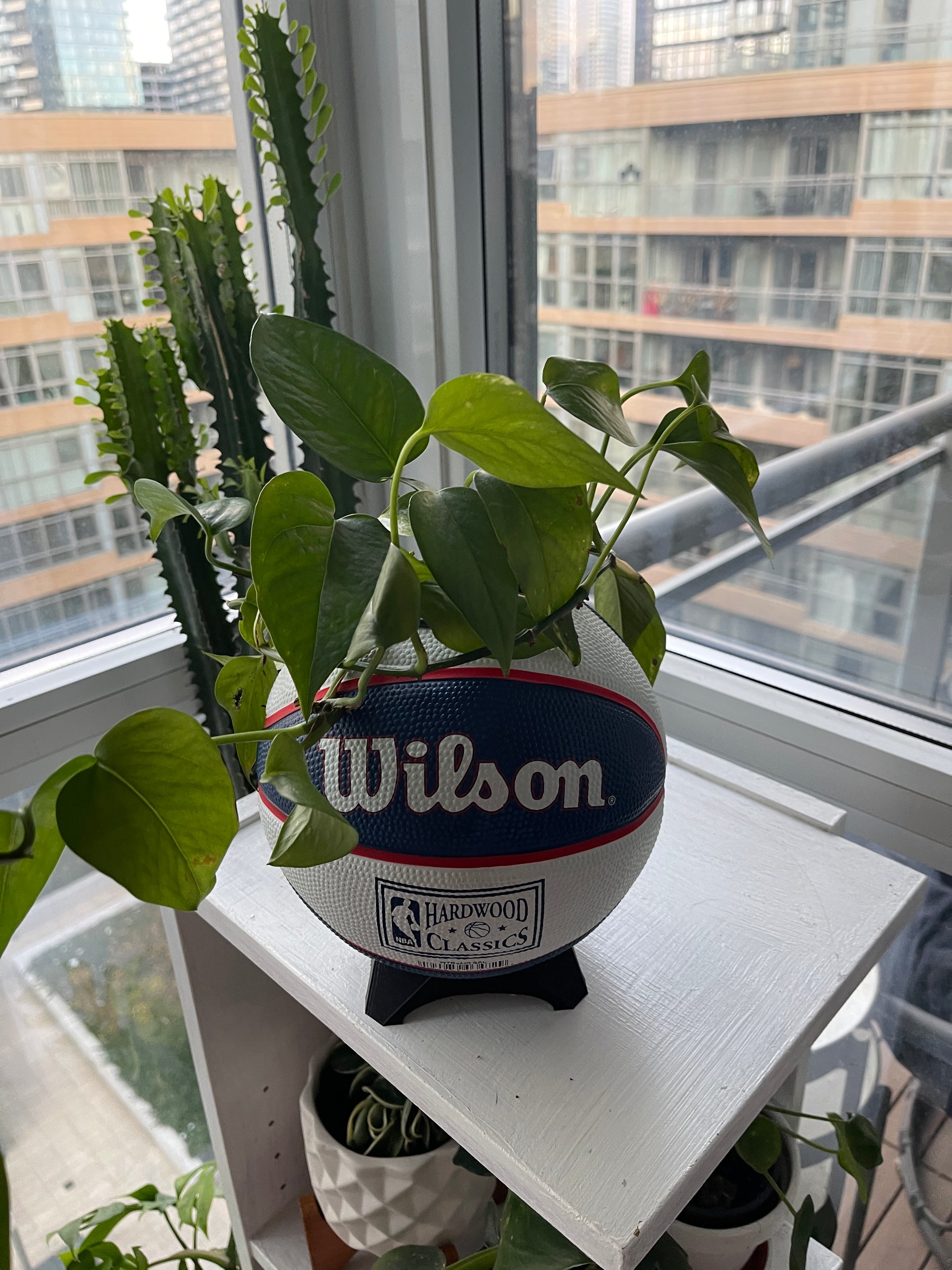 Mini Basketball Planter (Sacramento Kings)