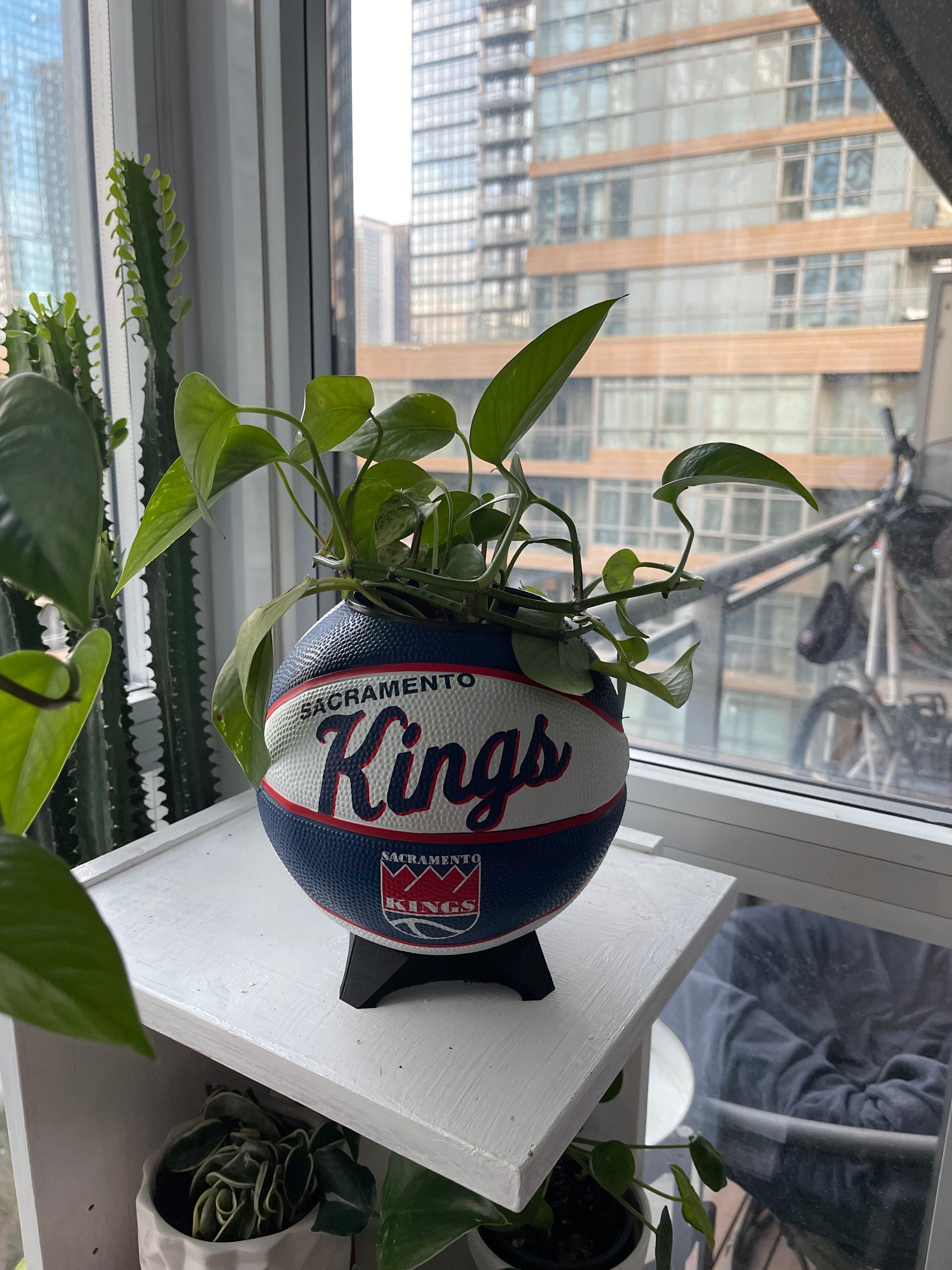 Mini Basketball Planter (Sacramento Kings)
