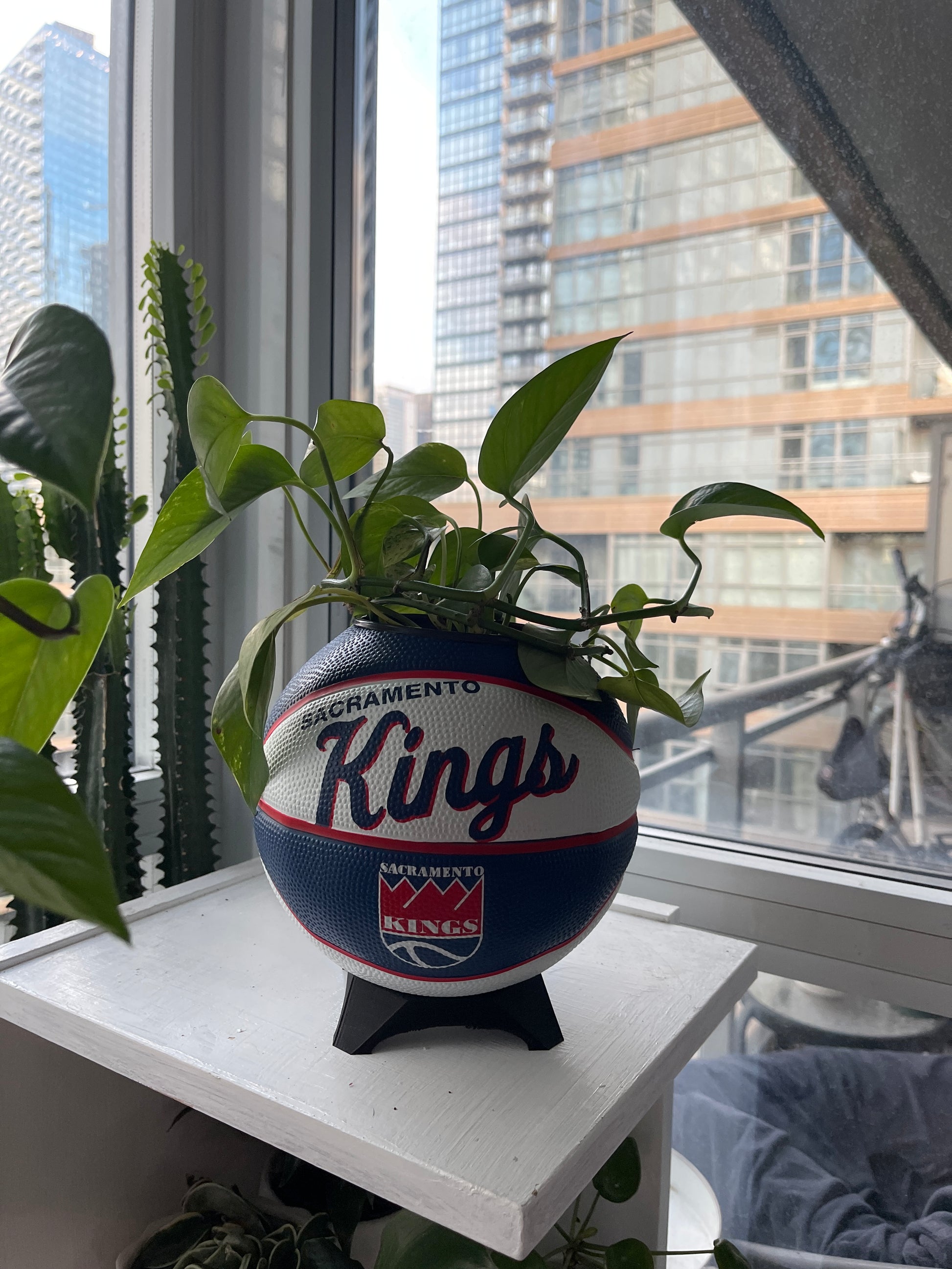 Mini Basketball Planter (Sacramento Kings)