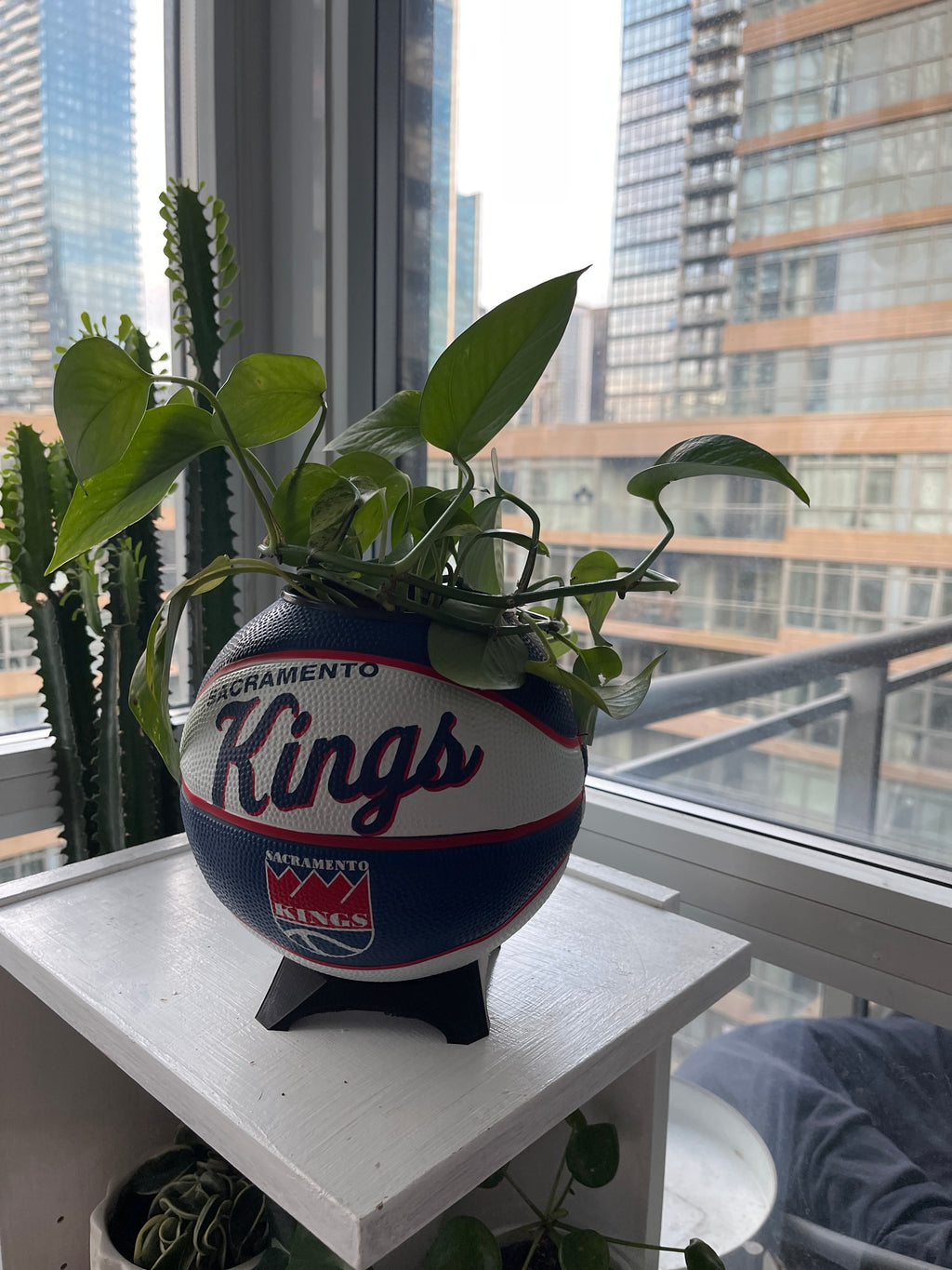Mini Basketball Planter (Sacramento Kings)