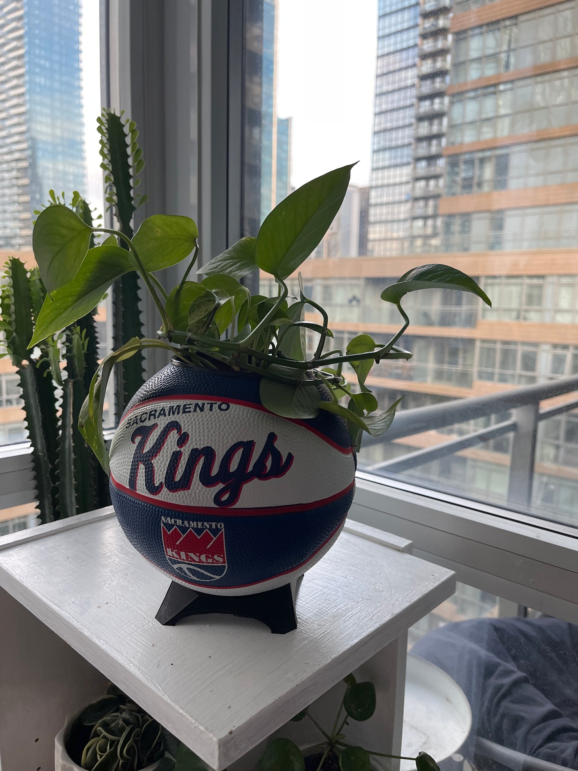 Mini Basketball Planter (Sacramento Kings)