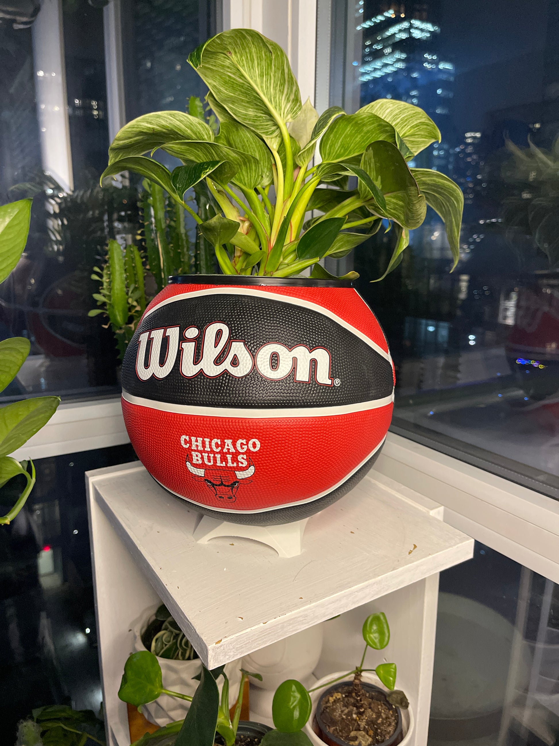 Large Basketball Planter (Chicago Bulls)