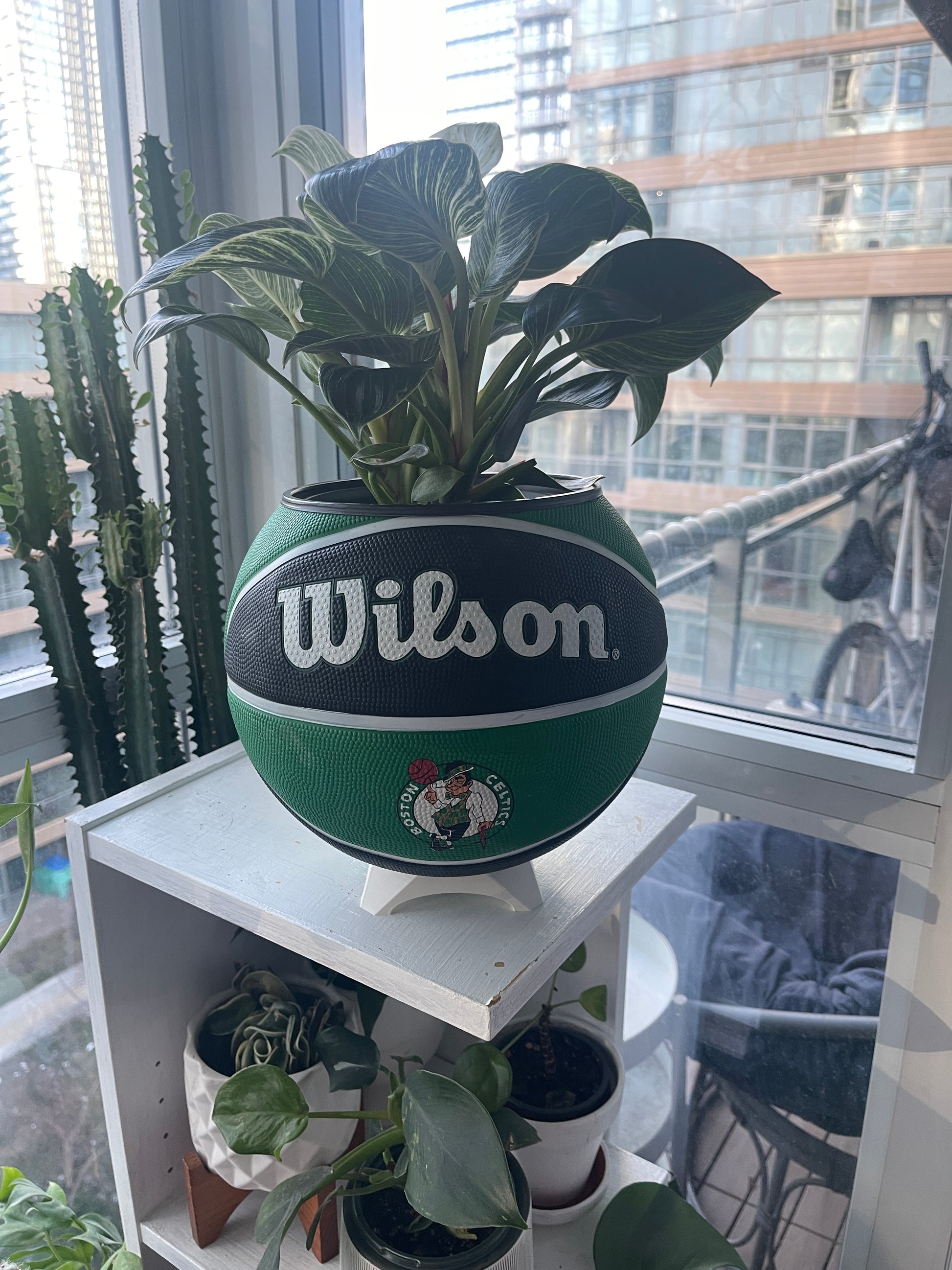 Large Basketball Planter (Boston Celtics)