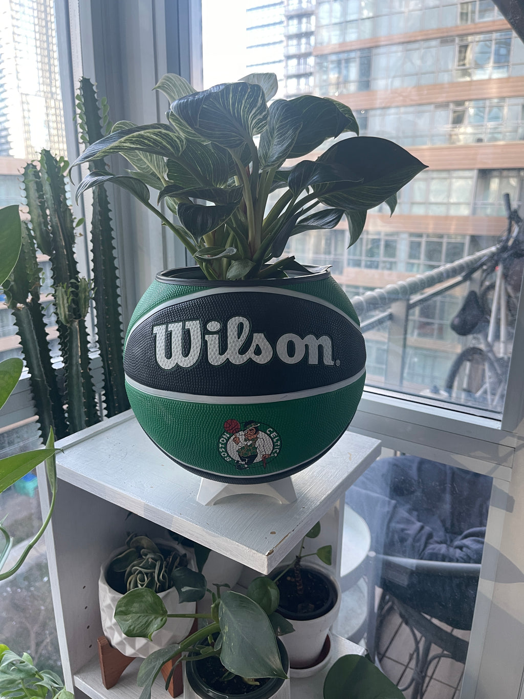 Large Basketball Planter (Boston Celtics)