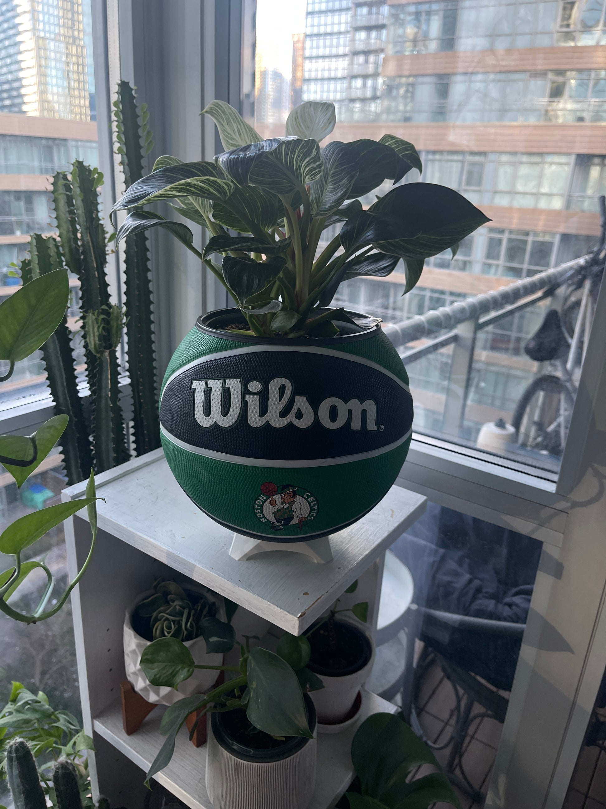Large Basketball Planter (Boston Celtics)
