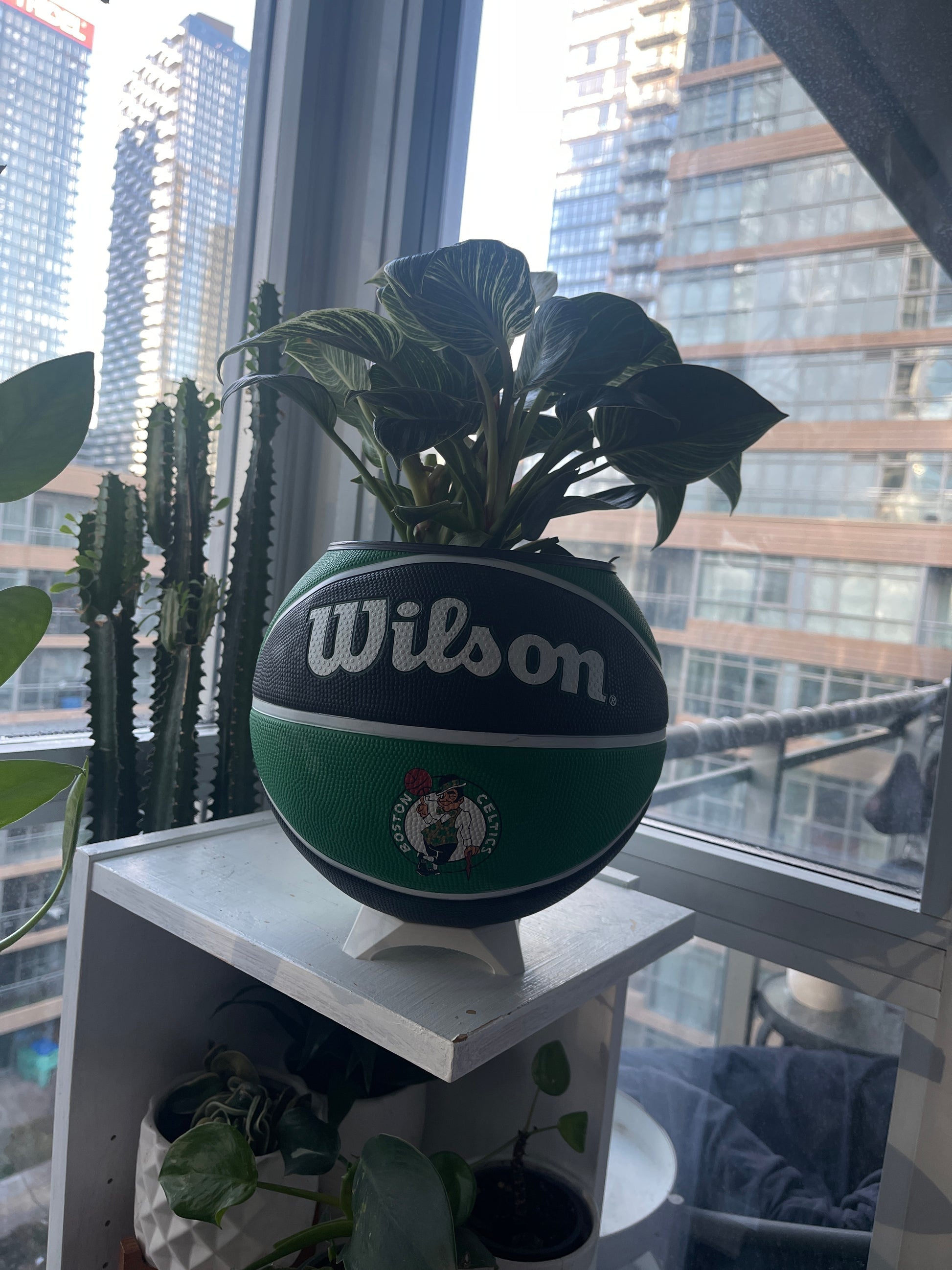 Large Basketball Planter (Boston Celtics)