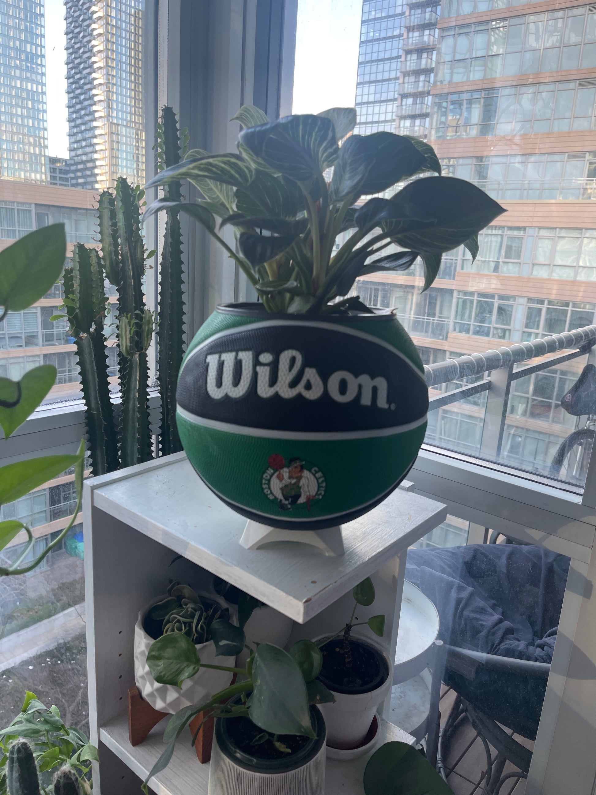 Large Basketball Planter (Boston Celtics)