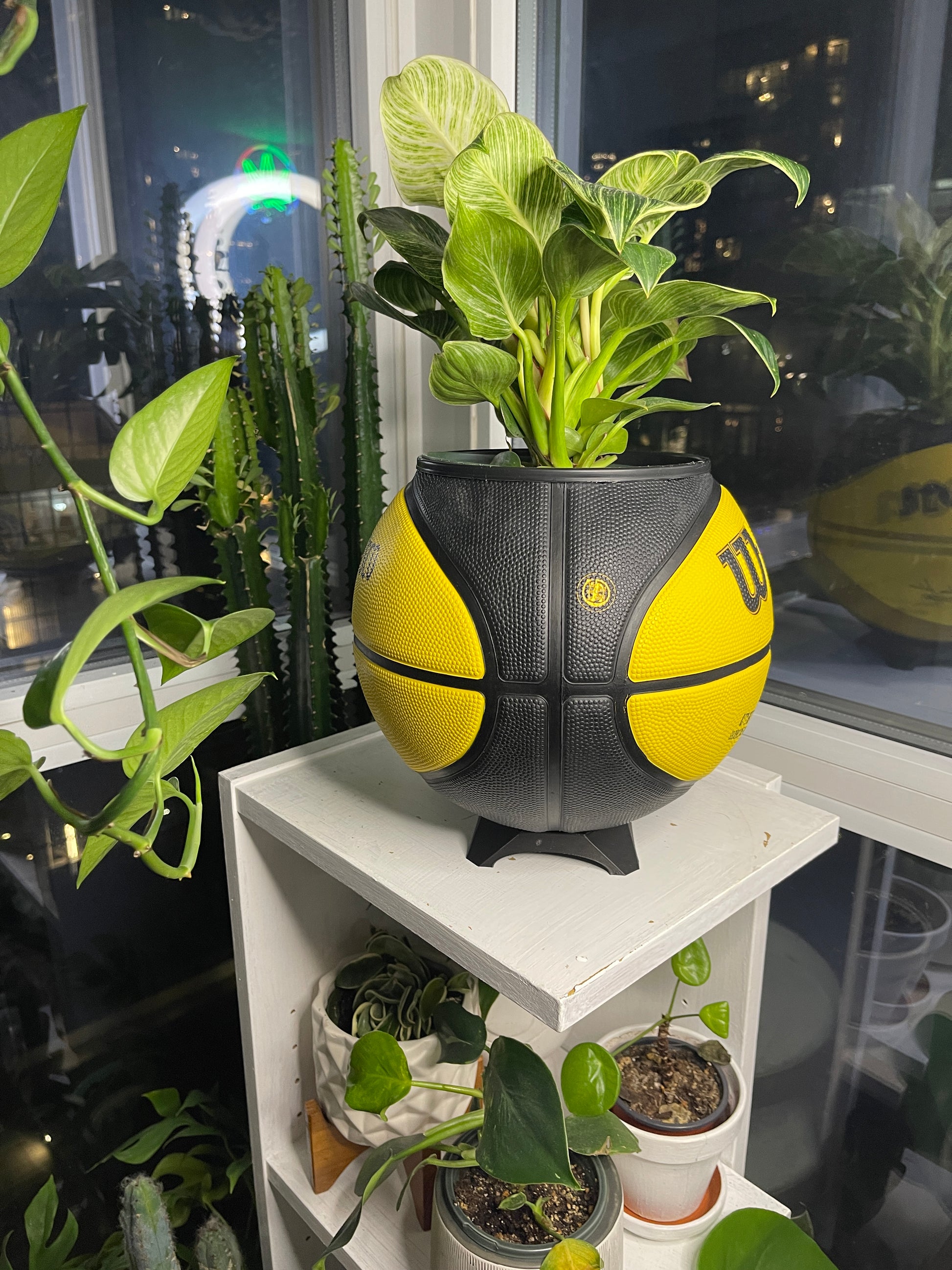 Large Basketball Planter (Golden State Warriors)