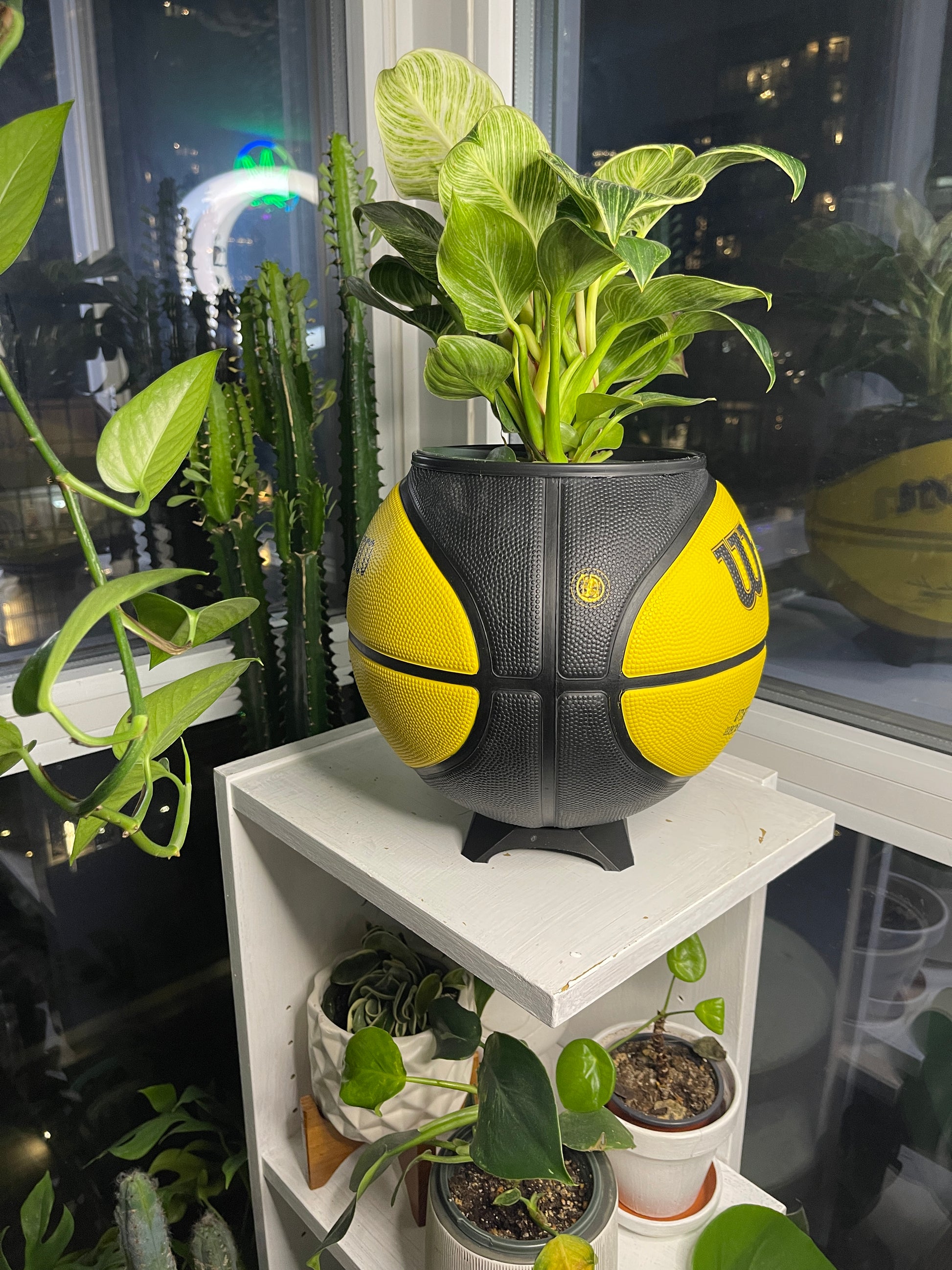 Large Basketball Planter (Golden State Warriors)