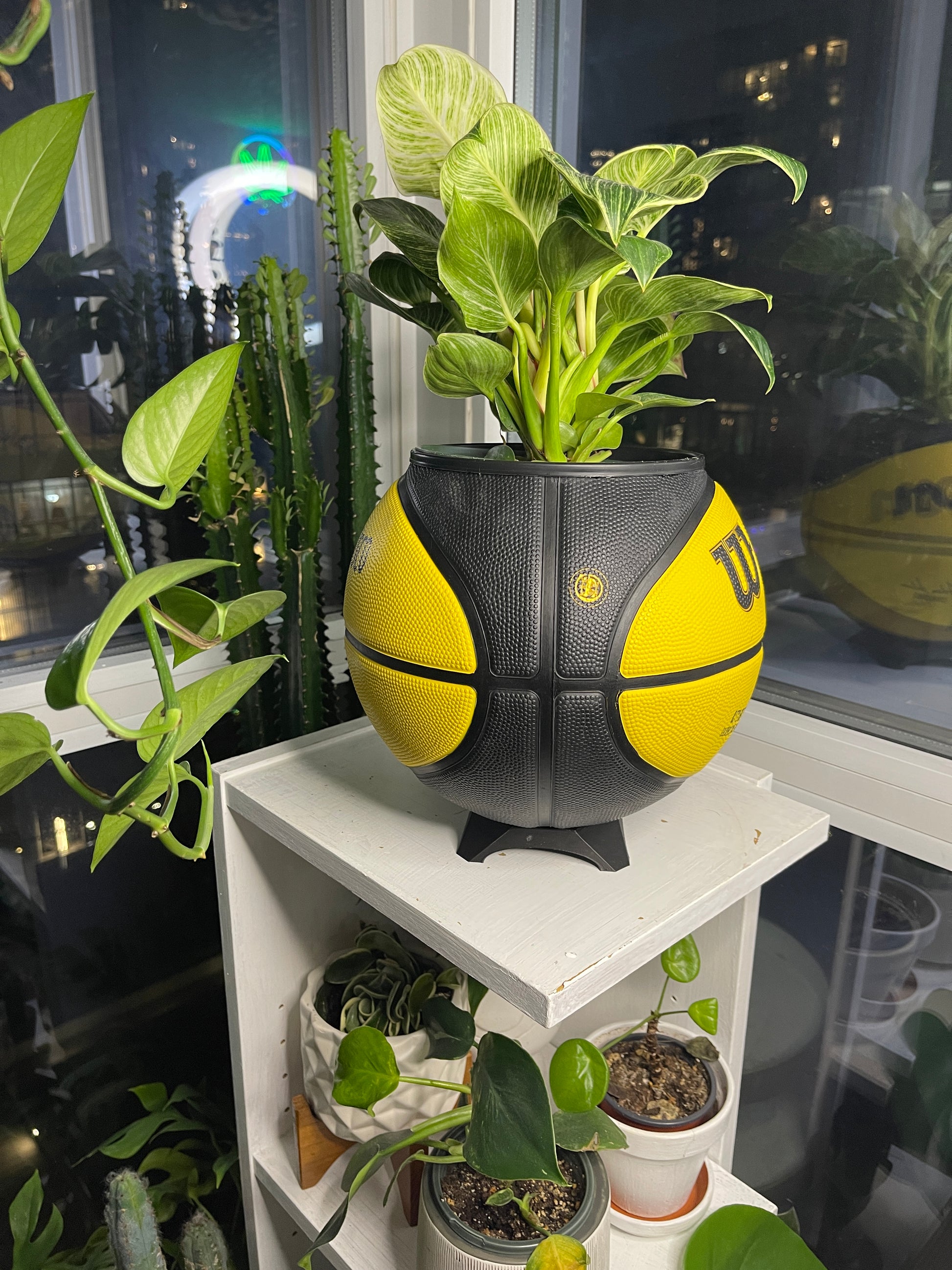 Large Basketball Planter (Golden State Warriors)