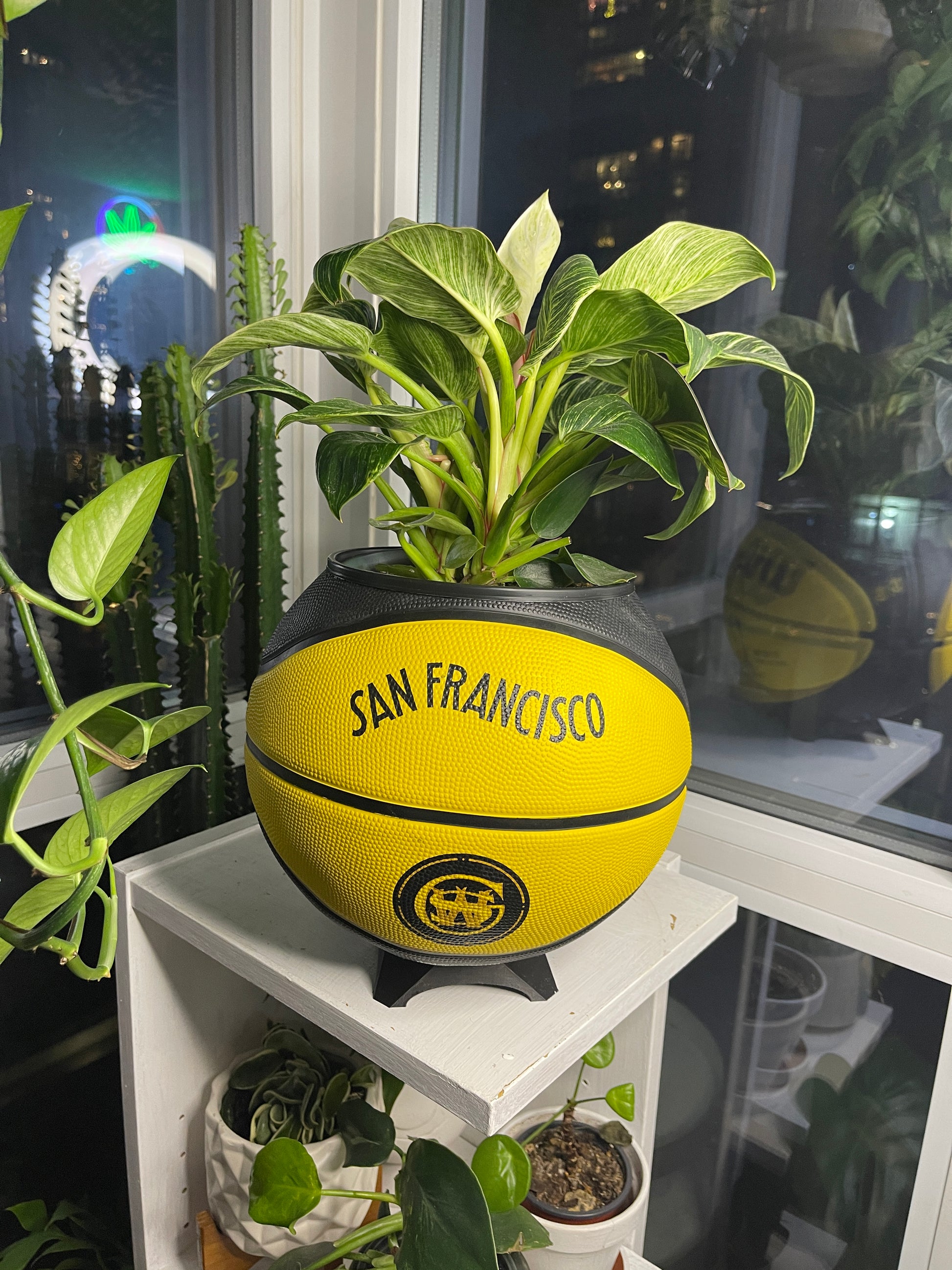 Large Basketball Planter (Golden State Warriors)