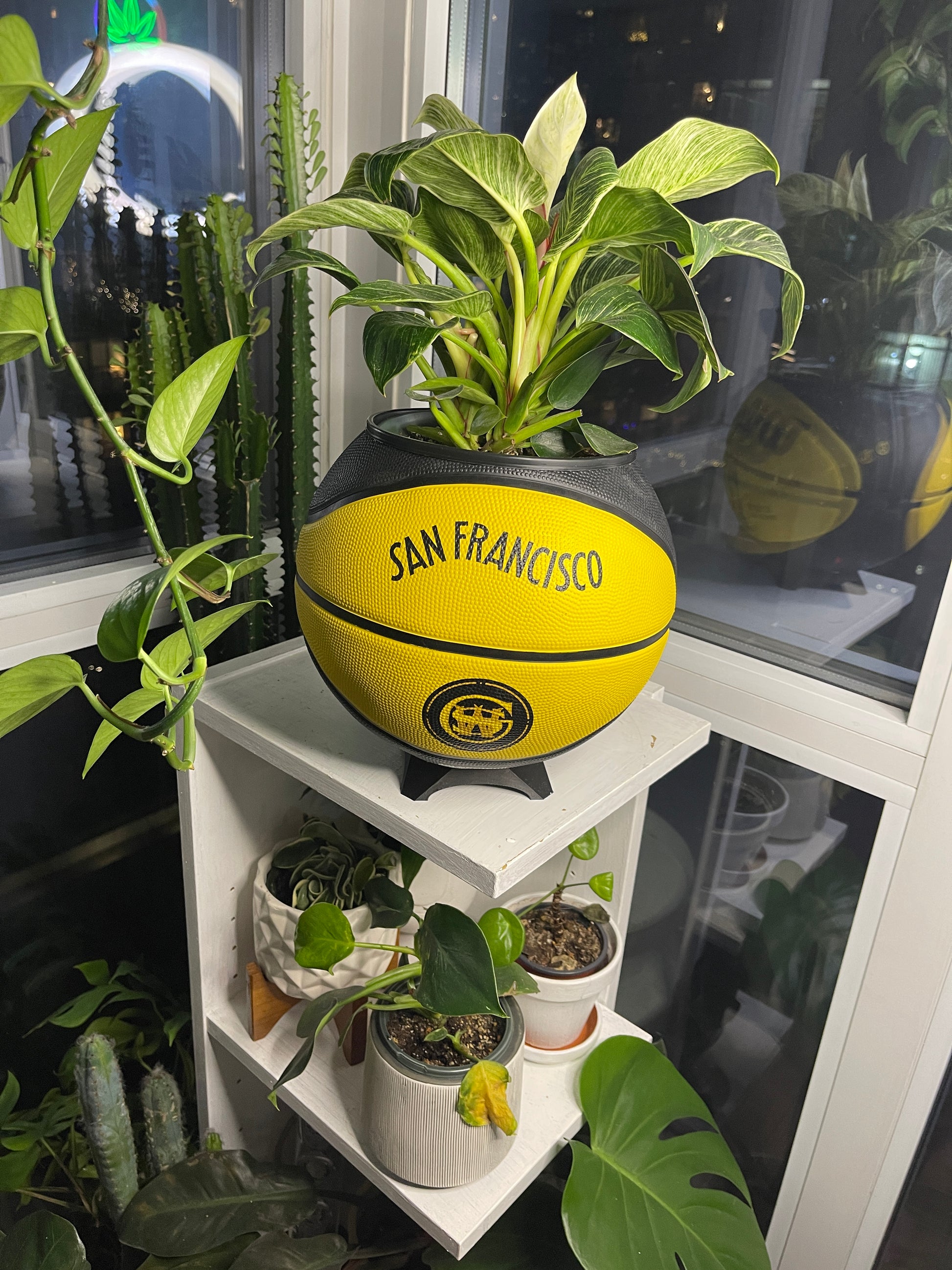 Large Basketball Planter (Golden State Warriors)